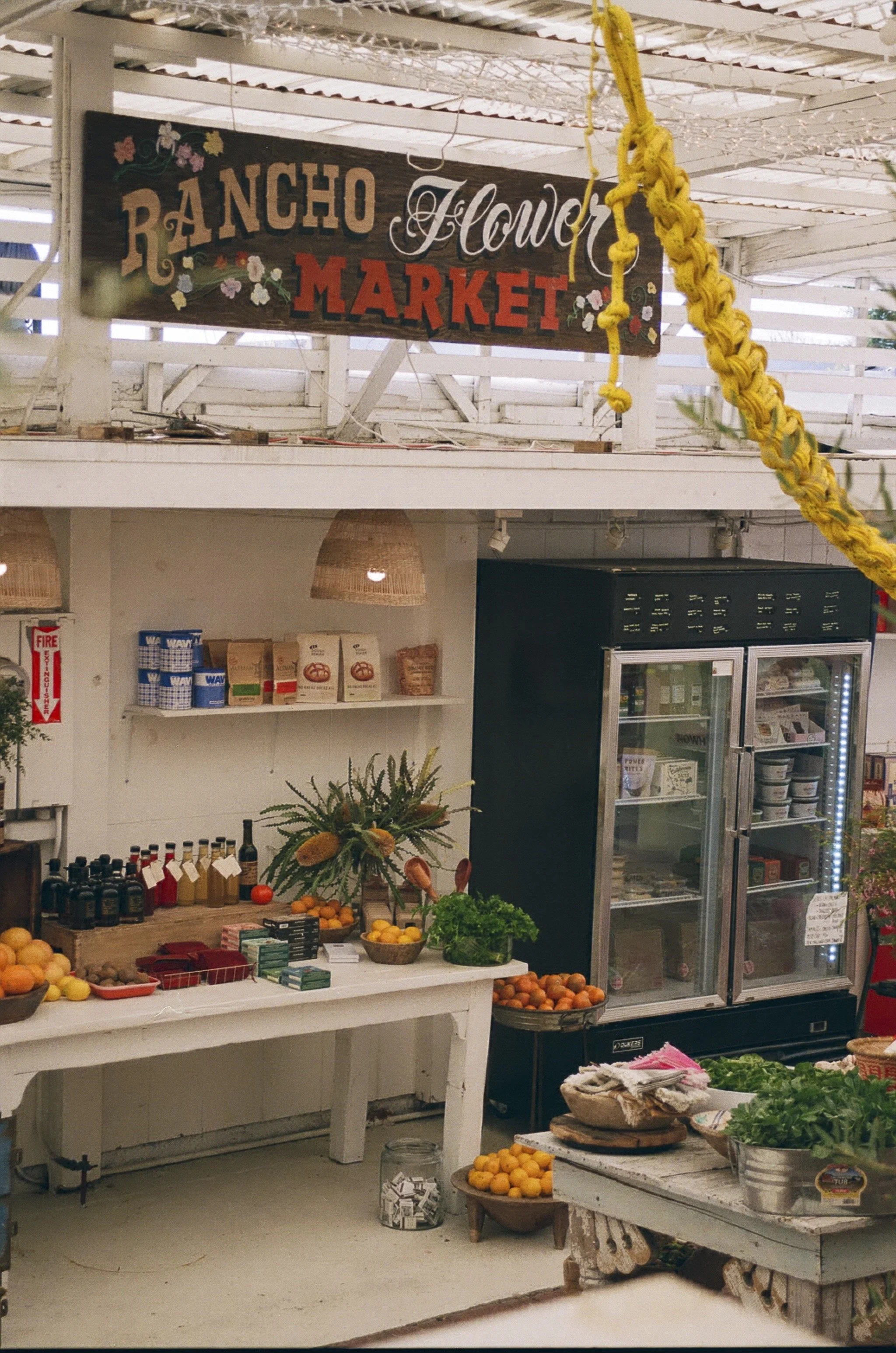 Founder & CEO - THE SALT HORSE