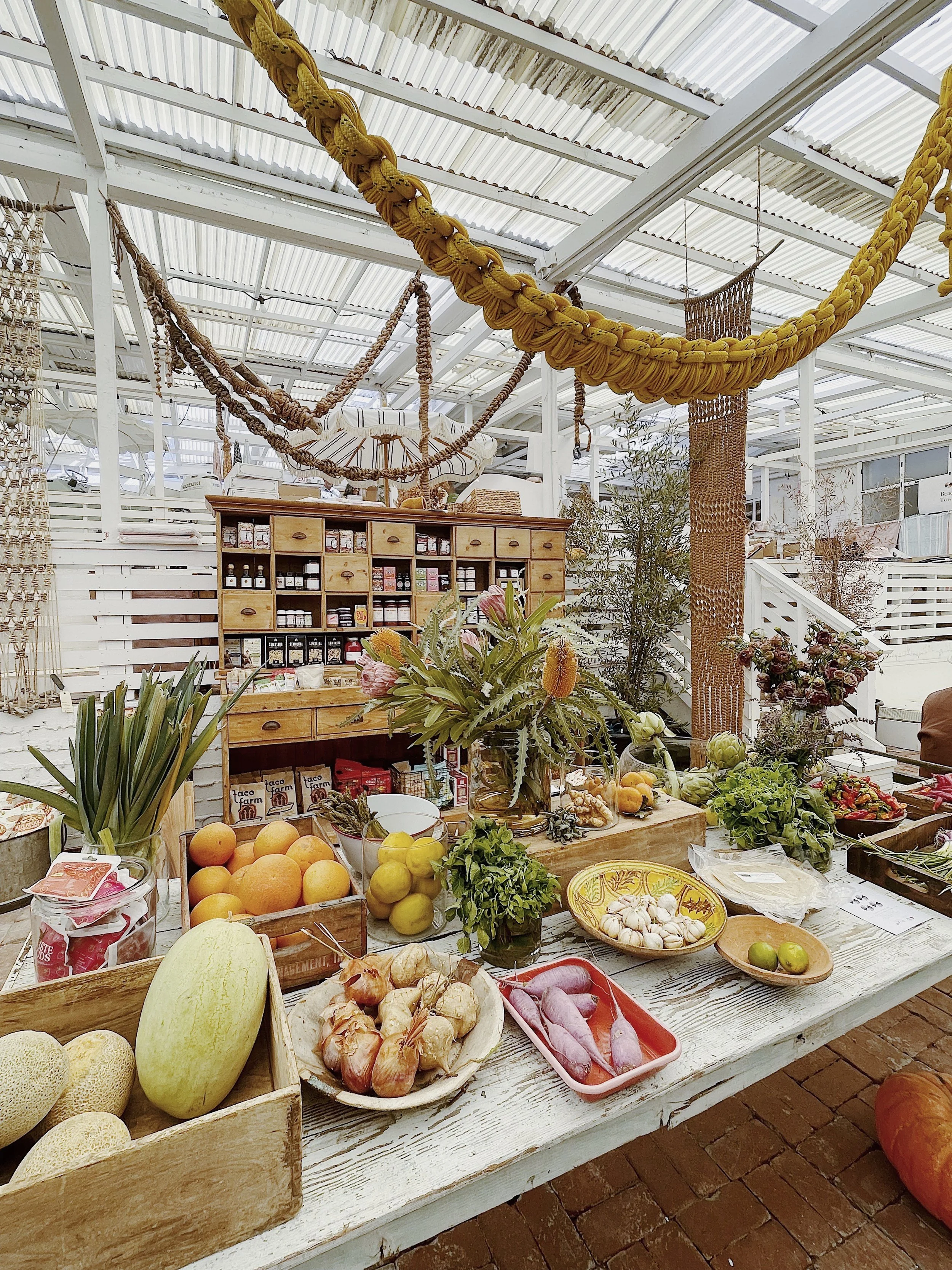 Founder & CEO - THE SALT HORSE