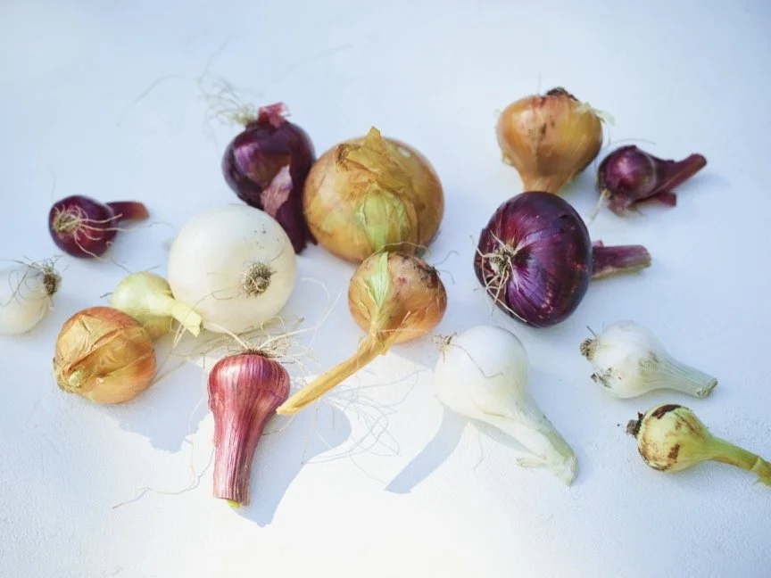 Food styling and visual installations, translating ingredients into editorial compositions, designed for hospitality, brand, and digital storytelling. 