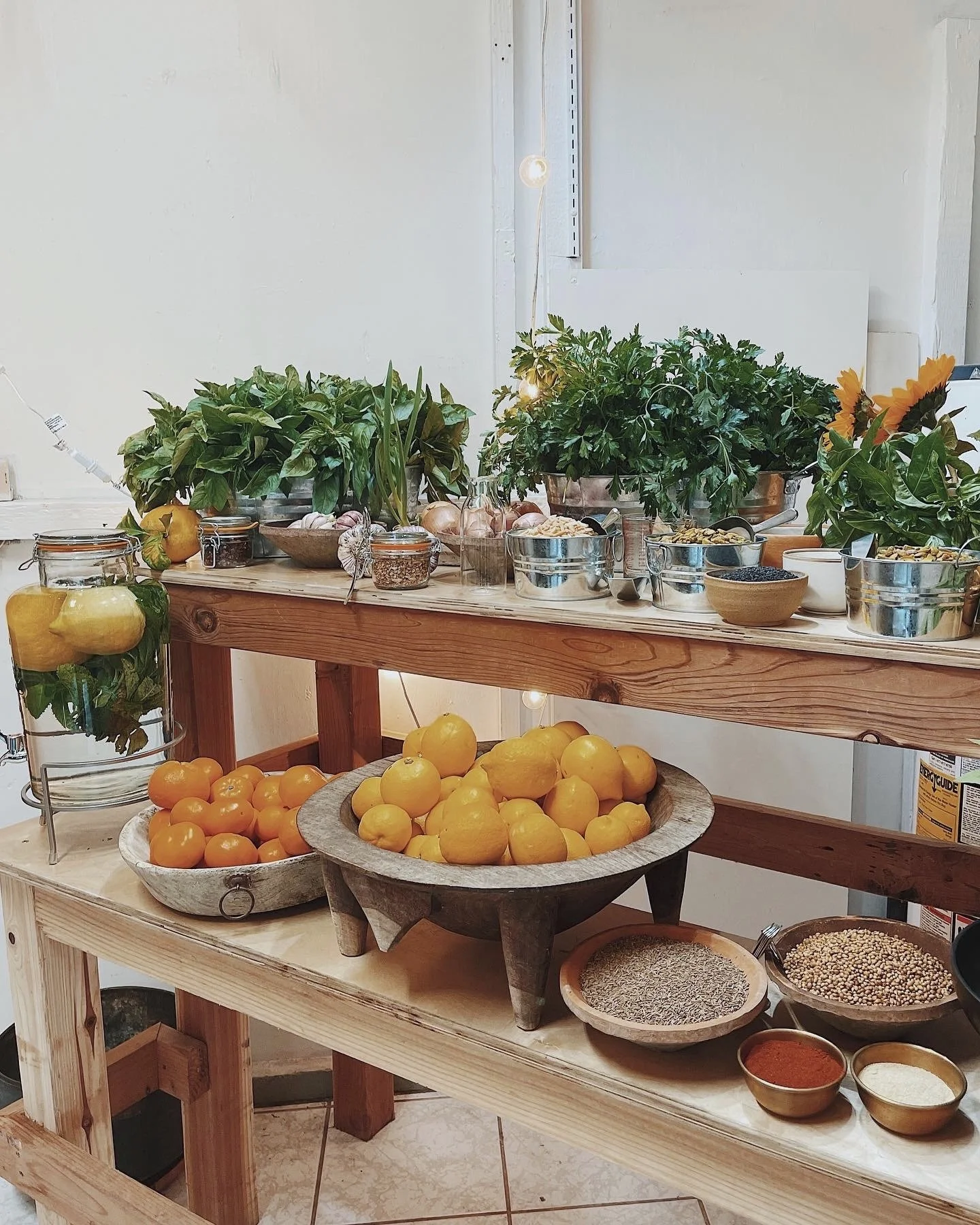 Create and lead elevated culinary events and workshops - where cooking becomes experience and experience becomes connection. Designed for private groups, brands, and entities seeking elevated culinary experiences. 