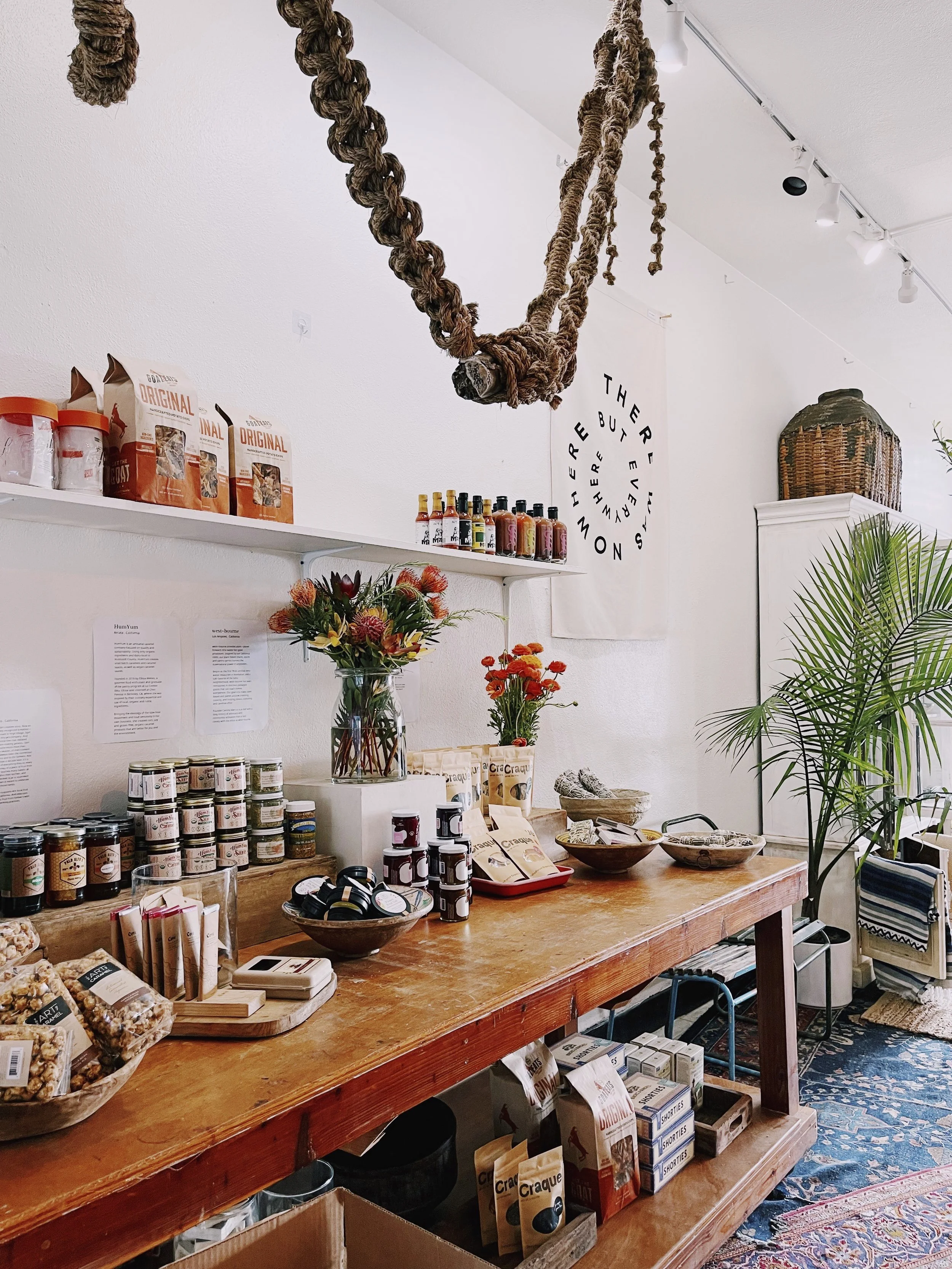 Product Merchandiser - THE SALT HORSE