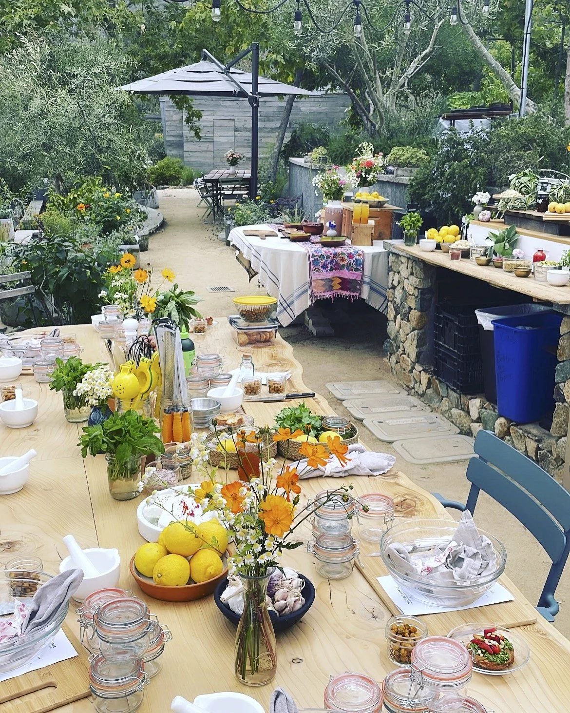 Create and lead elevated culinary events and workshops - where cooking becomes experience and experience becomes connection. Designed for private groups, brands, and entities seeking elevated culinary experiences. 