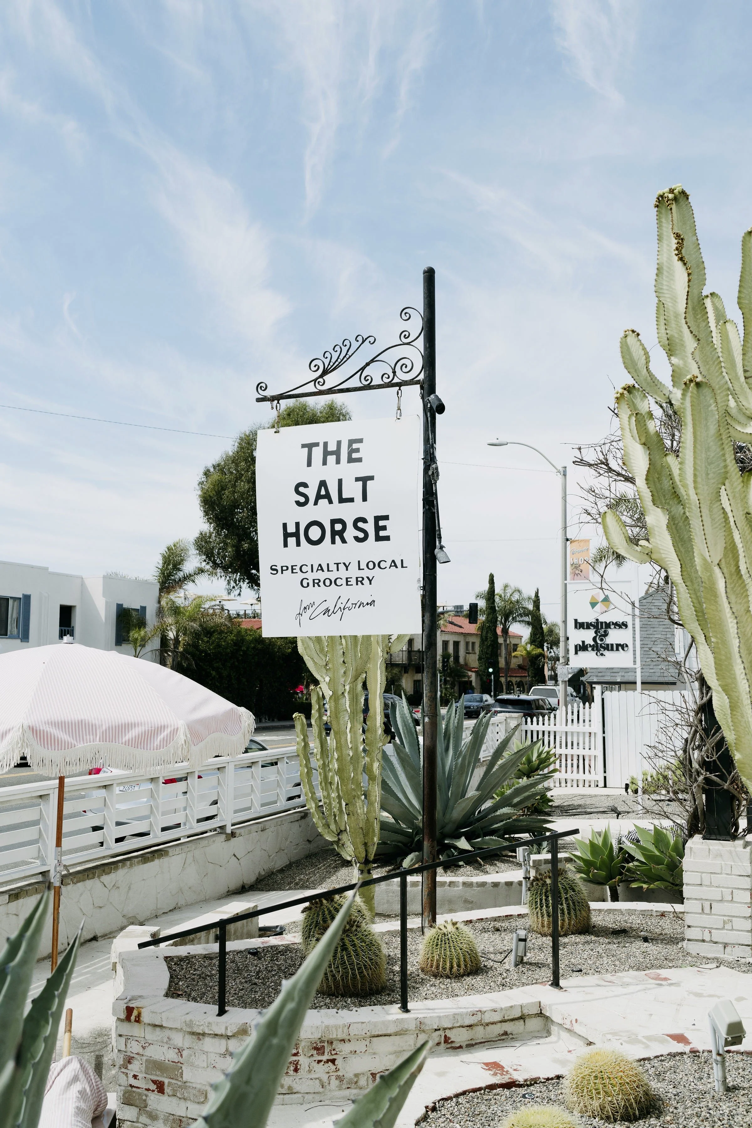 Founder & CEO - THE SALT HORSE