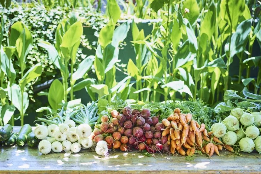 Food styling and visual installations, translating ingredients into editorial compositions, designed for hospitality, brand, and digital storytelling. 