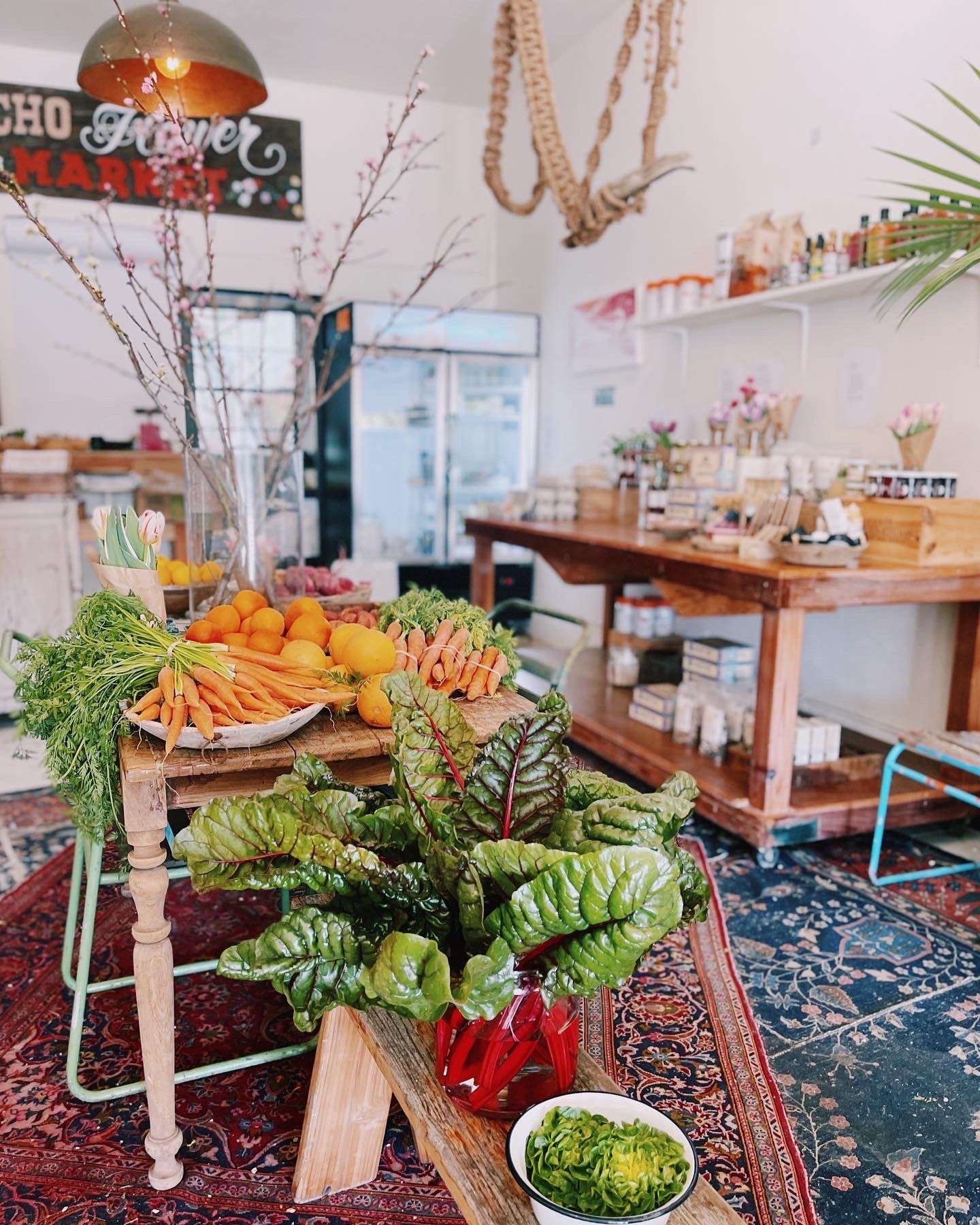 Founder & CEO - THE SALT HORSE