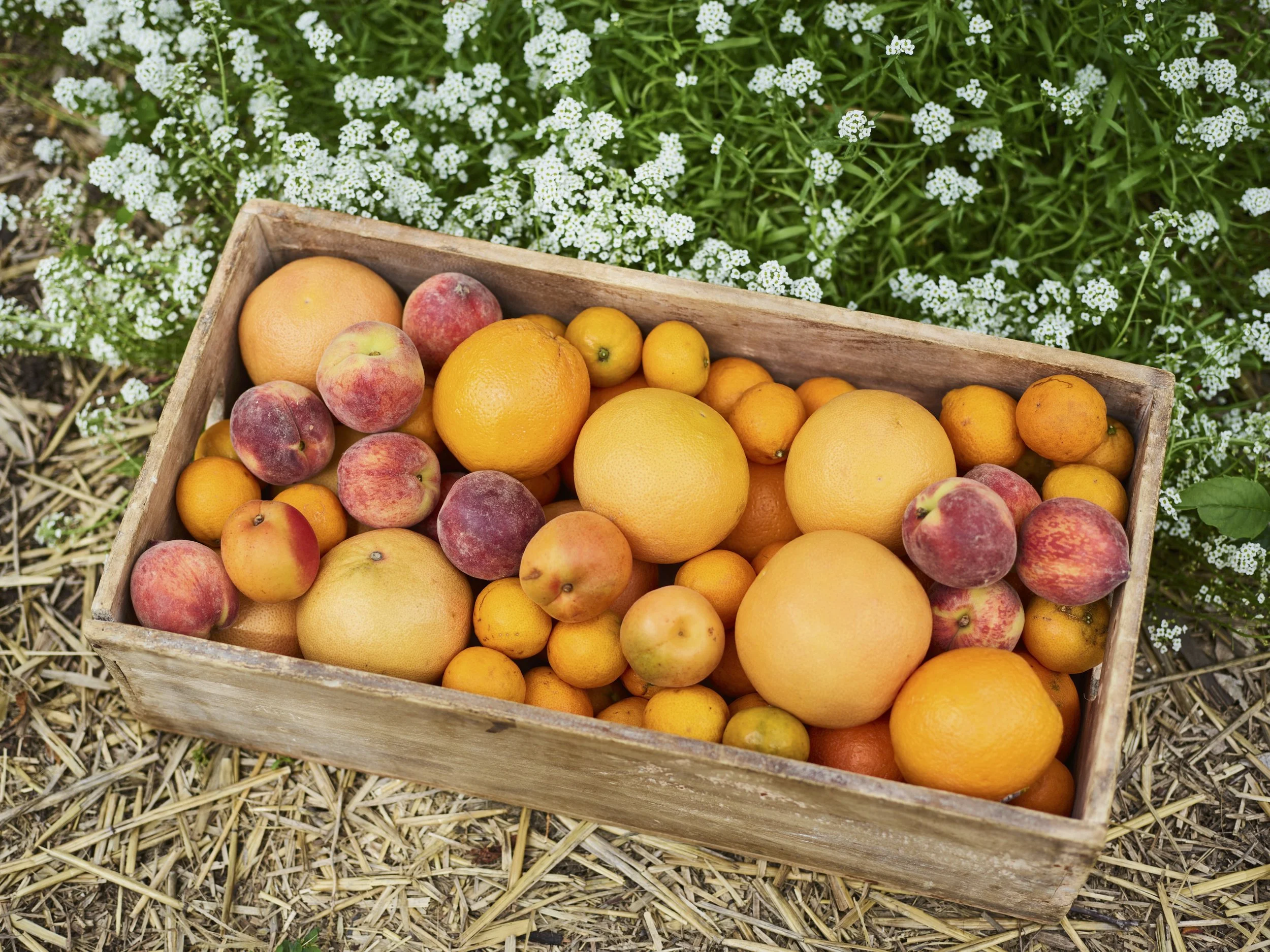 Food styling and visual installations, translating ingredients into editorial compositions, designed for hospitality, brand, and digital storytelling. 