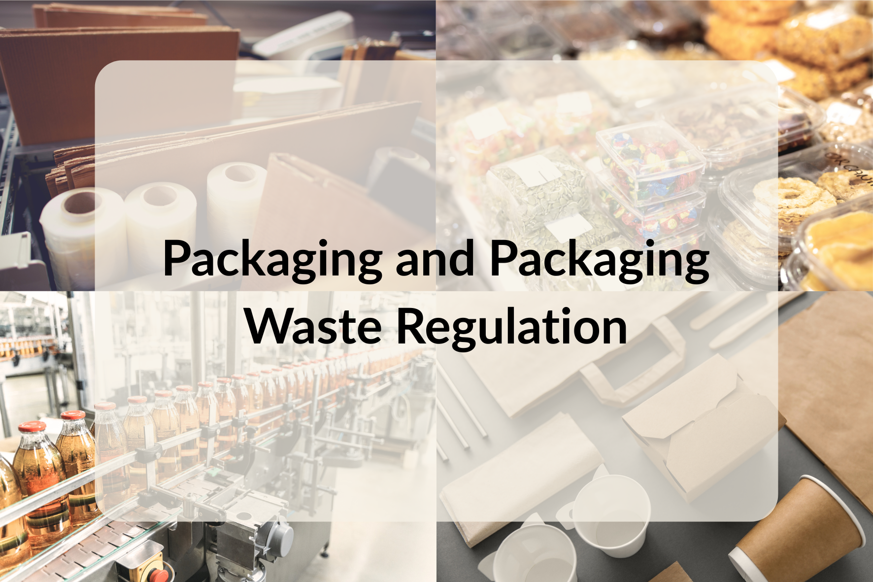 The PPWR Is Here: What the EU's New Packaging Regulation Means for Luxembourg SMEs