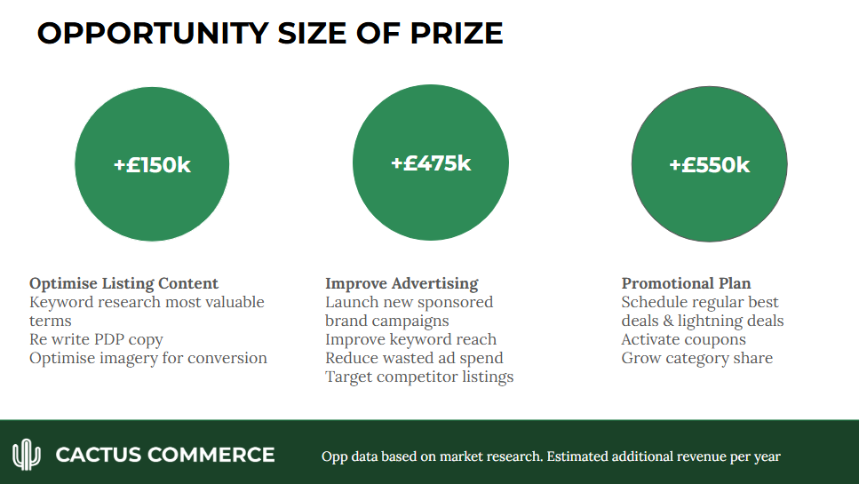 Amazon Brand Audit Example Opportunity