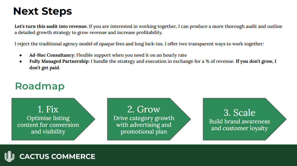 Amazon Brand Audit Example Roadmap