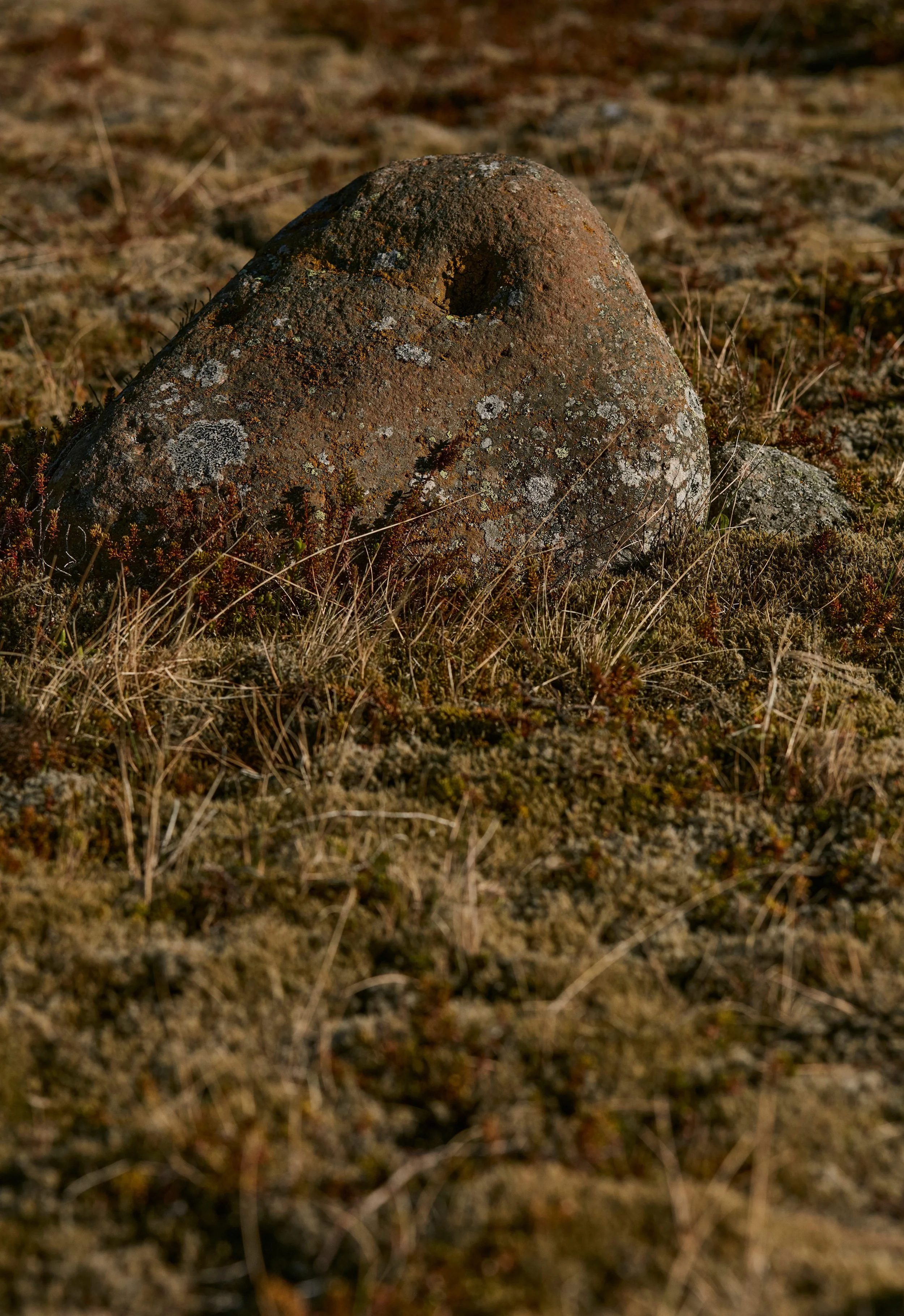 2024-06-02_Studio_Noam_Iceland_d01_Gareth_Hacker_5S4A9978_HiRes (1).jpg