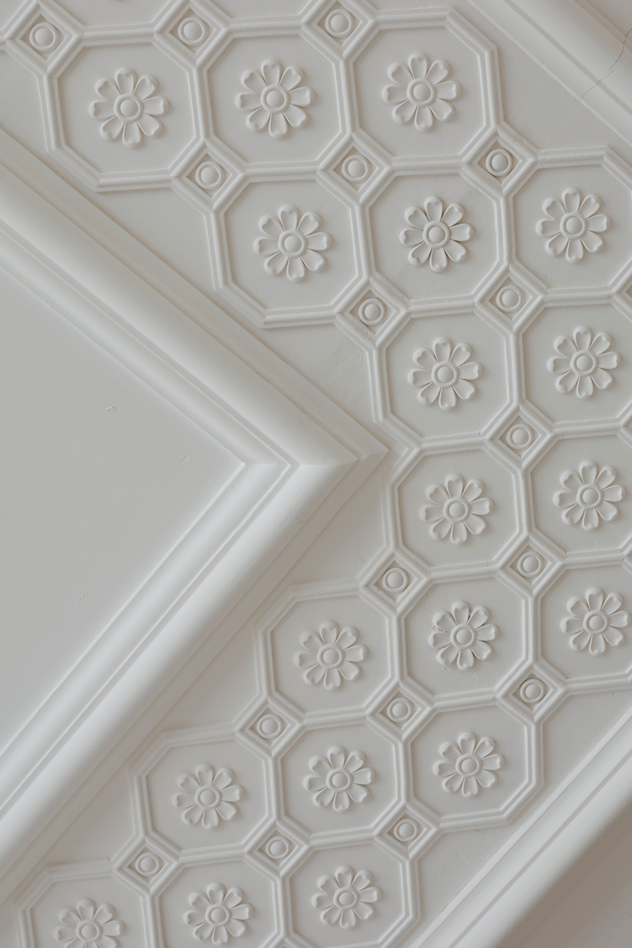 14. 2020-02-13_Noam_097_Please_Credit_Gareth Hacker_when_used.jpg