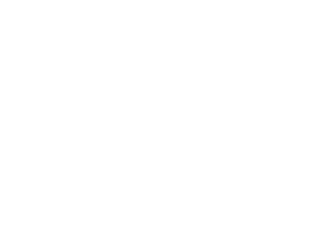 Das Logo des Deutschen Fußball-Bundes mit Adler und deutschem Wappen
