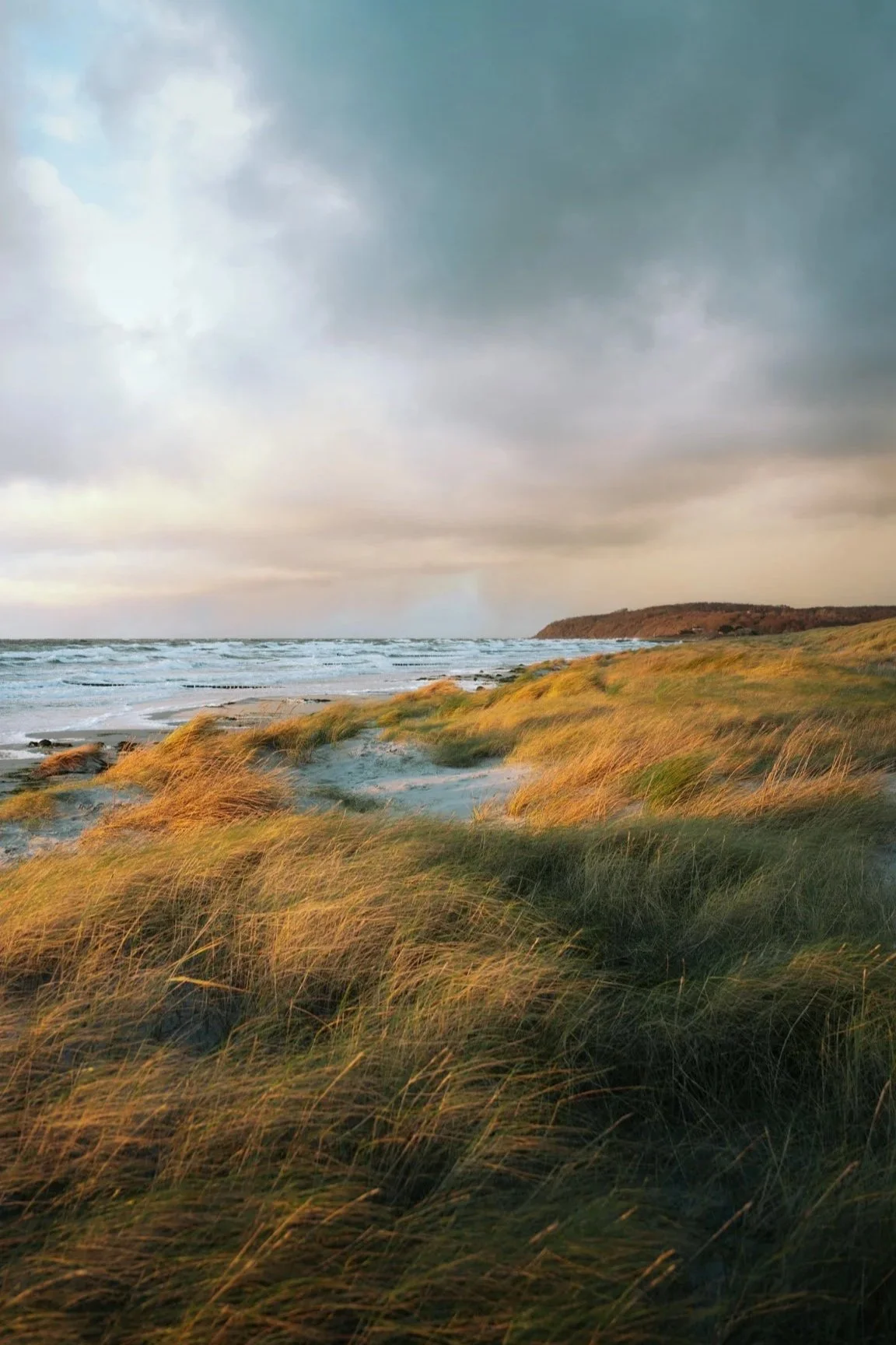 Blick auf eine windige Küstenlinie mit hohen Gräsern im Vordergrund, darunter ein Strand mit Wellen und eine bewölkte Himmelsszene.