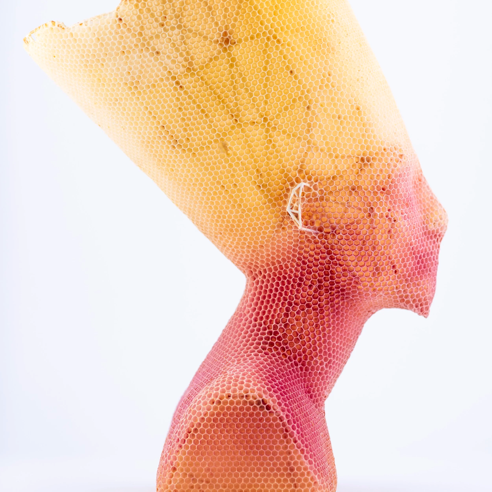 Tomáš Libertíny, 
  Eternity (a.k.a. Nefertiti)  Year: 2024
Materials: natural beeswax, wood, museum glass, Cor-ten steel
