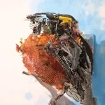 Thomas Deininger , 
Ode To The Road, 2023
Found Materials and Hot Glue

