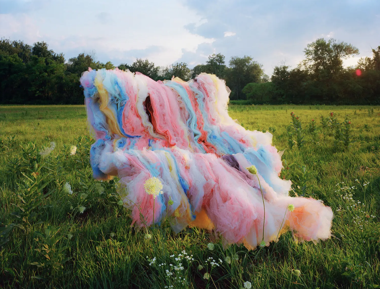 Thomas Jackson, 
Tulle no. 58, Claverack, NY, 2024