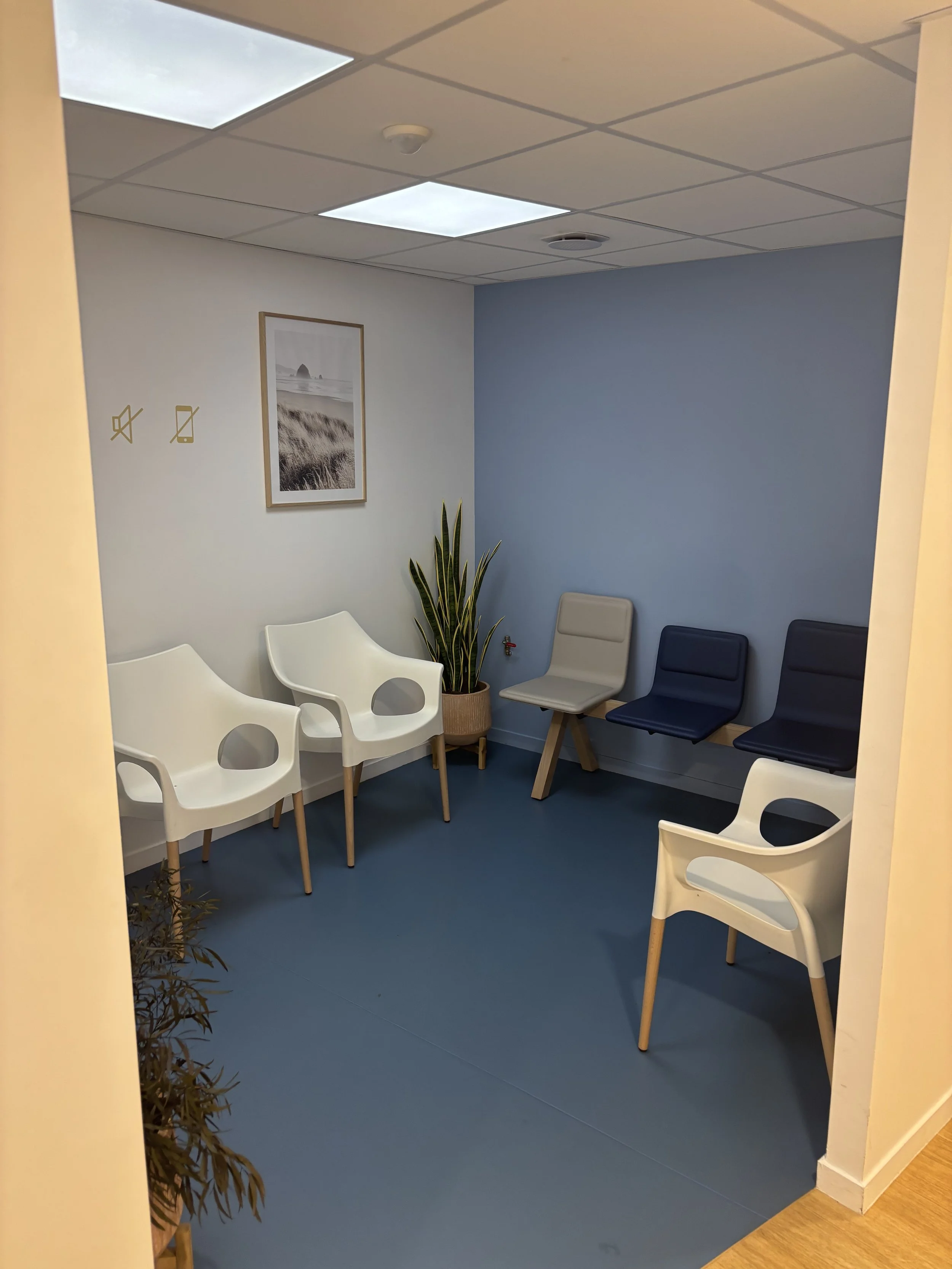 Salle d'attente avec chaises blanches et colorées, plante verte, tableau noir et blanc de paysages, plafond lumineux en panneaux, murs blanc et bleu.