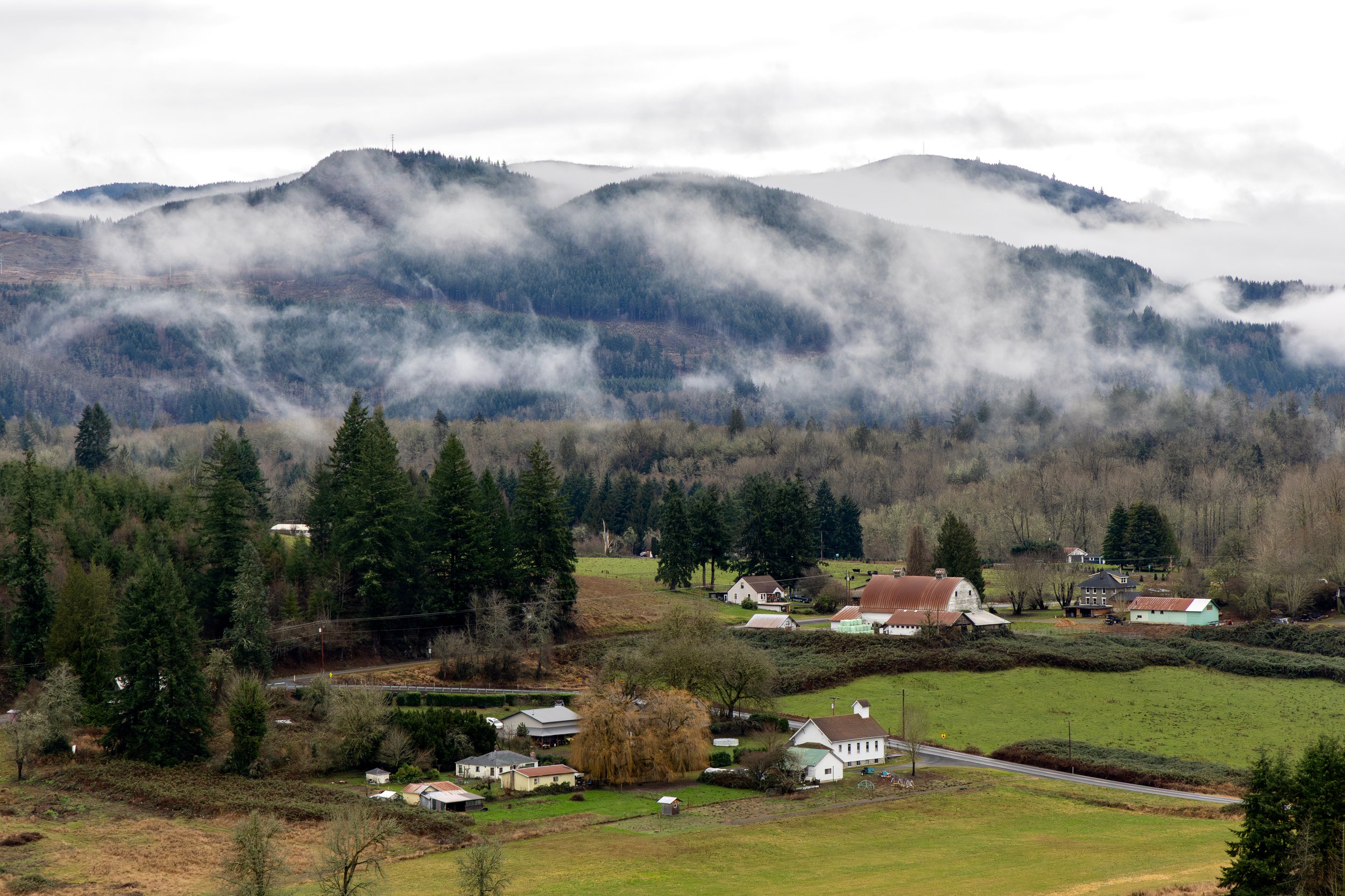 A rural landscape with a small farm and houses, surrounded by green fields and trees, with mountains and fog in the background.