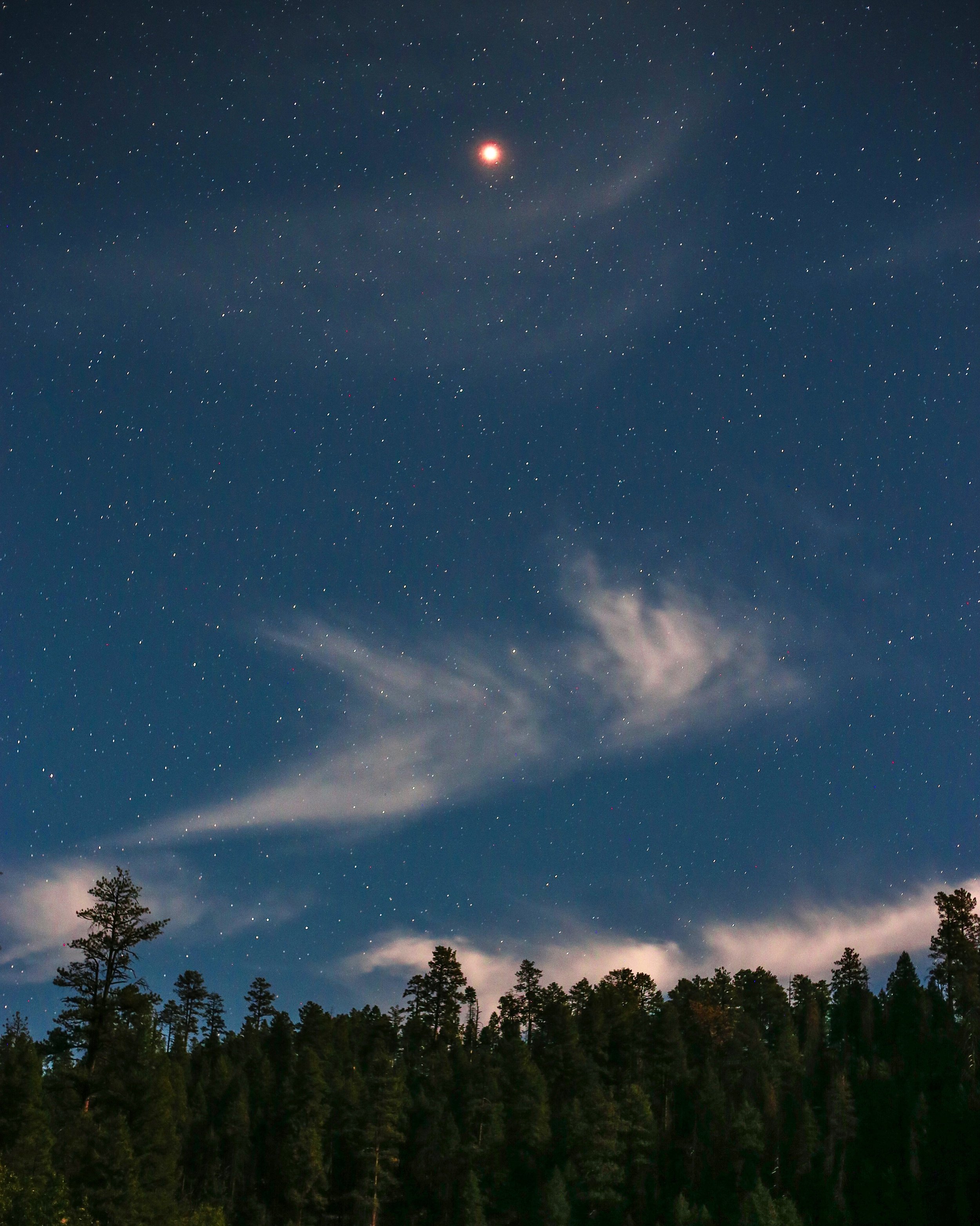 Night sky filled with stars, a bright planet or star near the top, and wispy clouds over a forest silhouette.