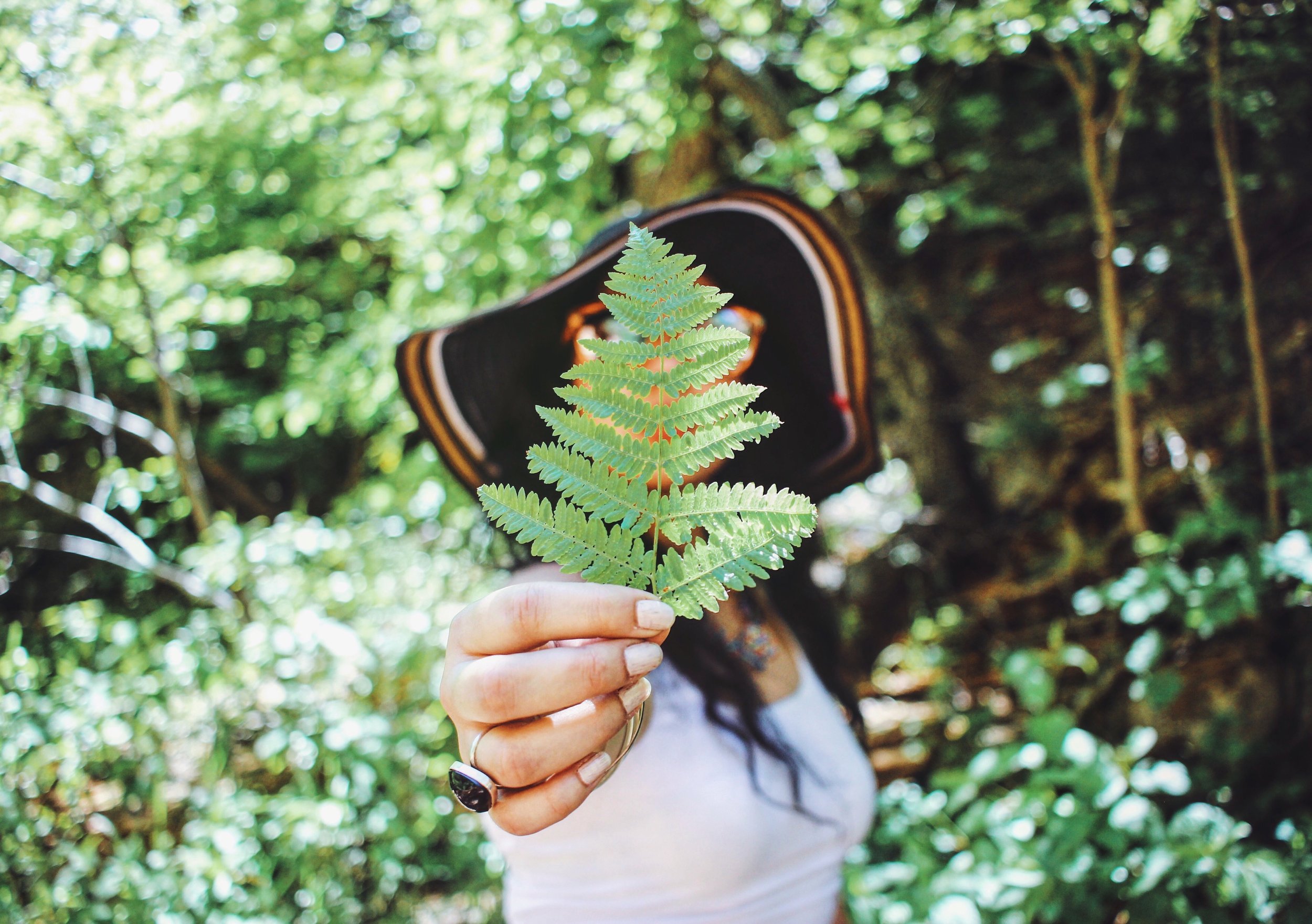 Person holding a green fern leaf in a forest with lush green foliage and trees in the background. The person is wearing a wide-brimmed hat and a ring, and is partially out of focus.