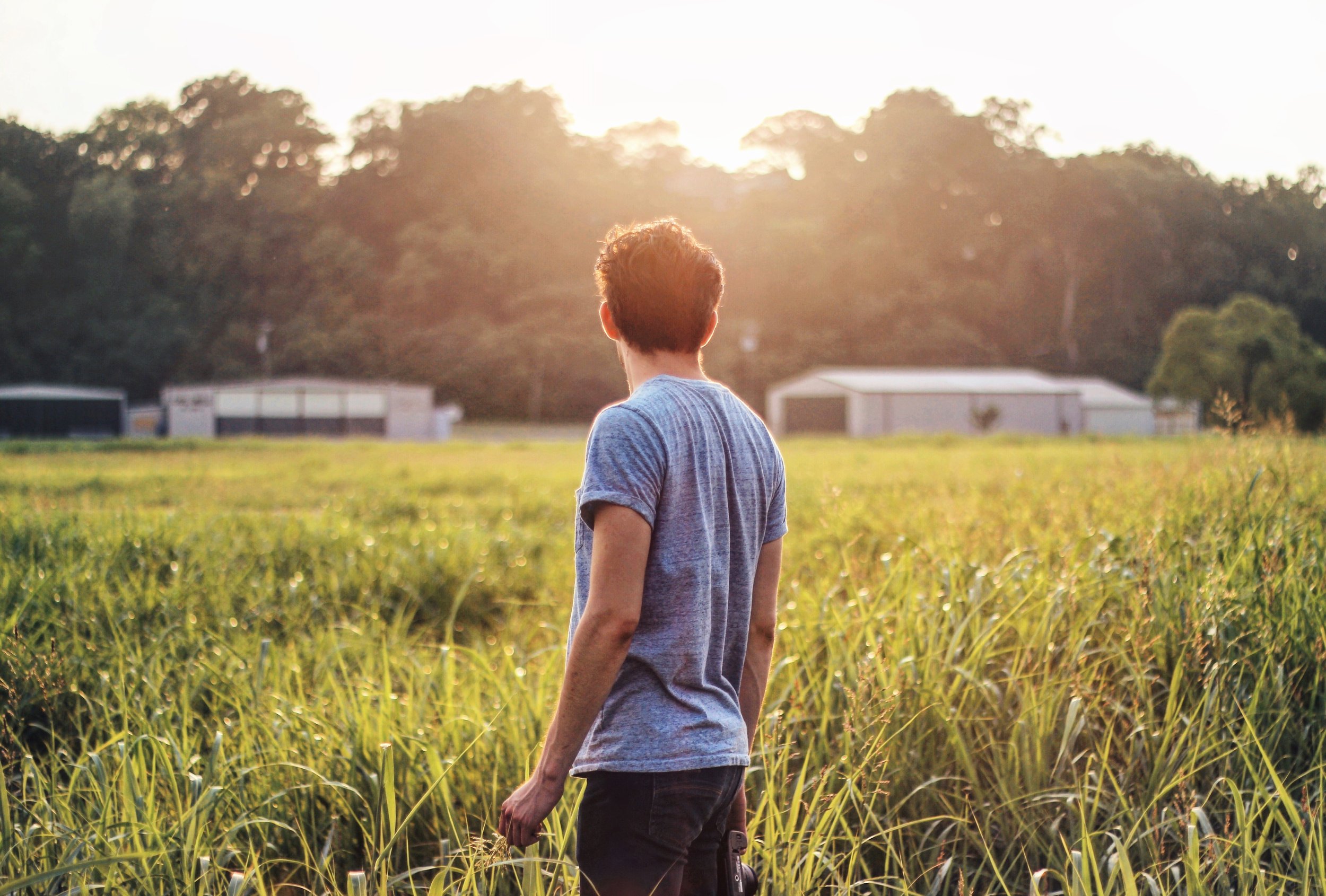 A person with curly hair wearing a gray T-shirt standing in a grassy field during sunset, looking toward the distance with trees and buildings in the background.