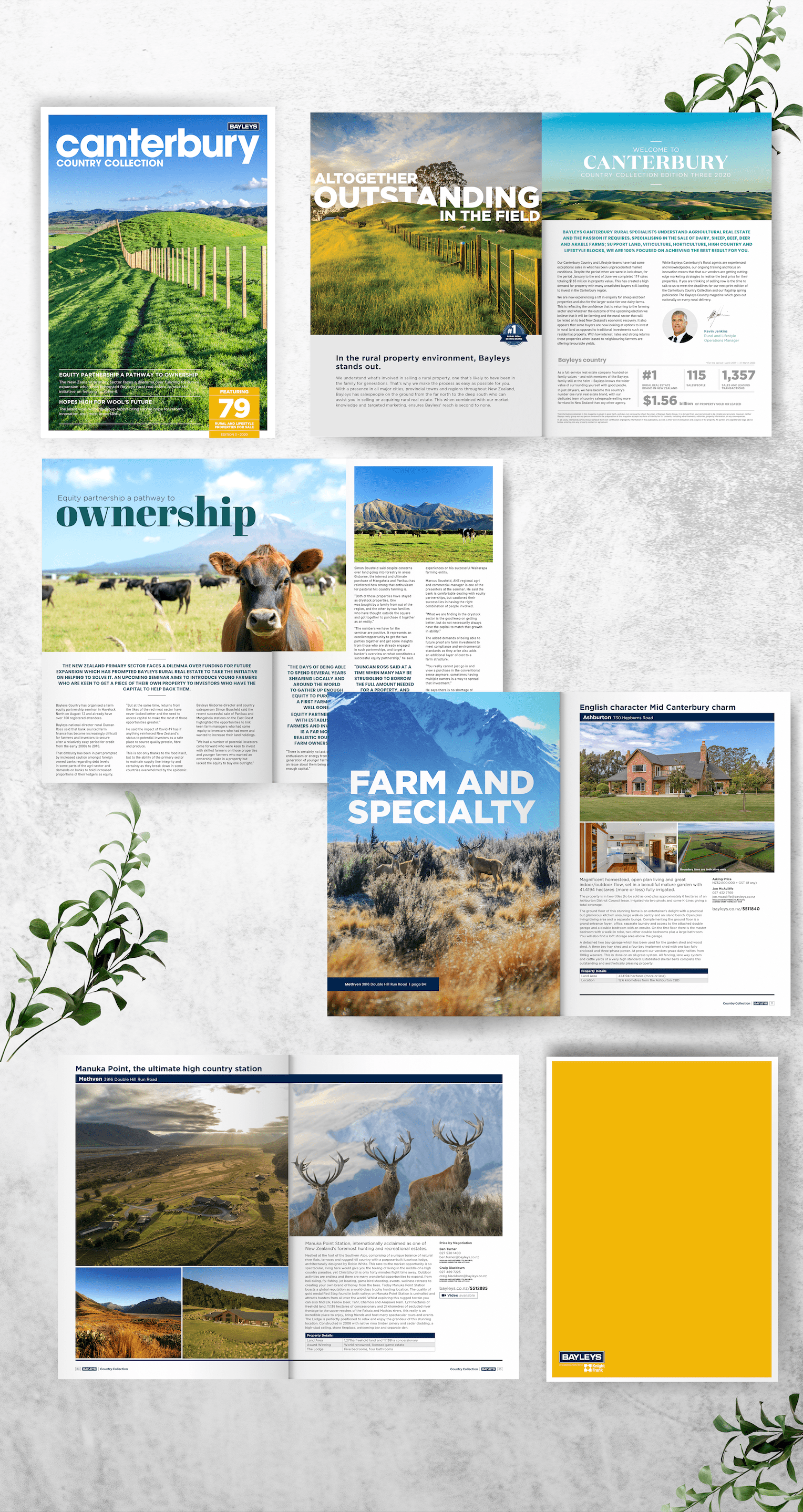 Screen Shot 2020-10-27 at 7.07.39 AM-min.png