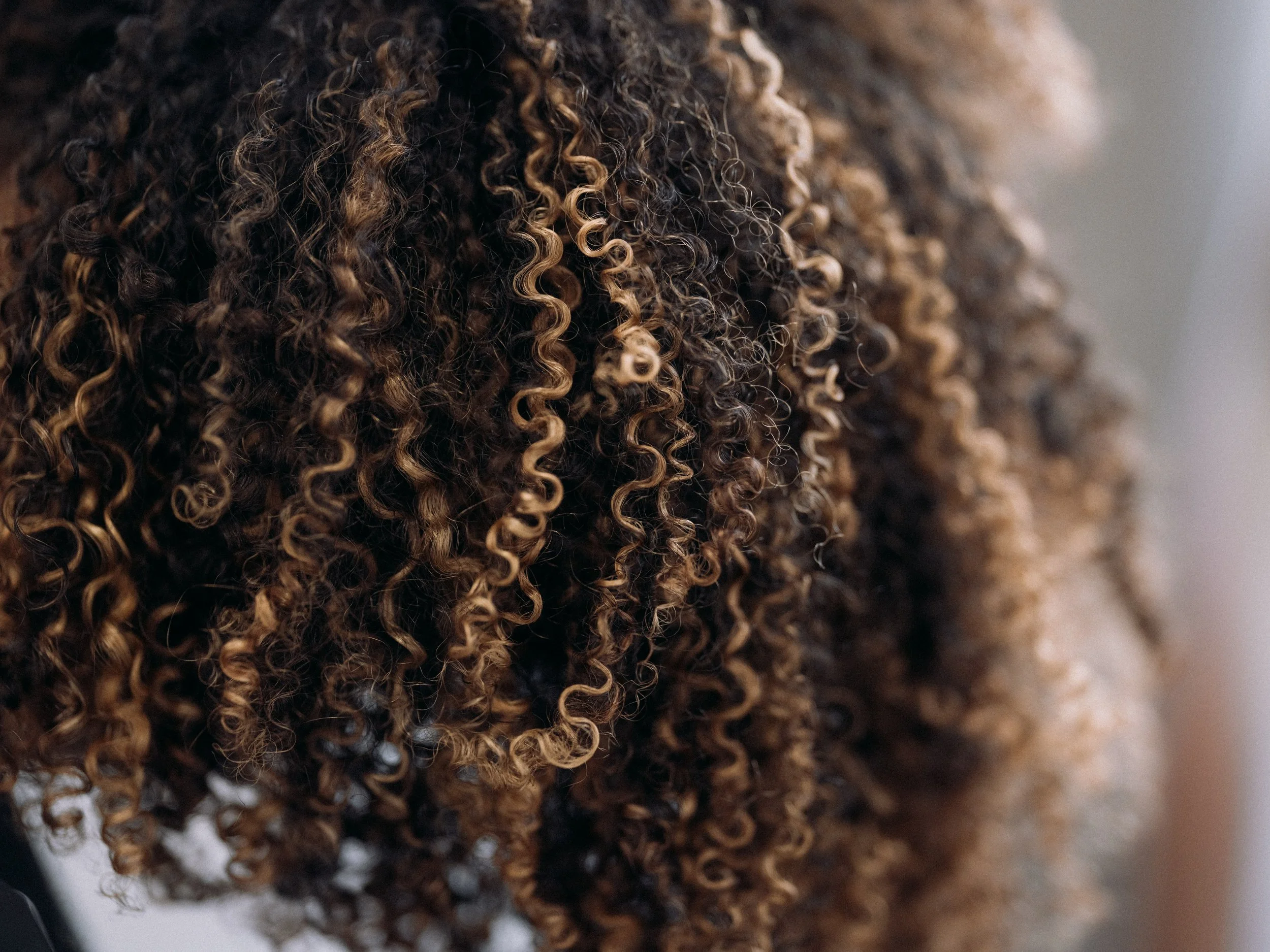 Close-up of curly hair with dark brown and light brown highlights.
