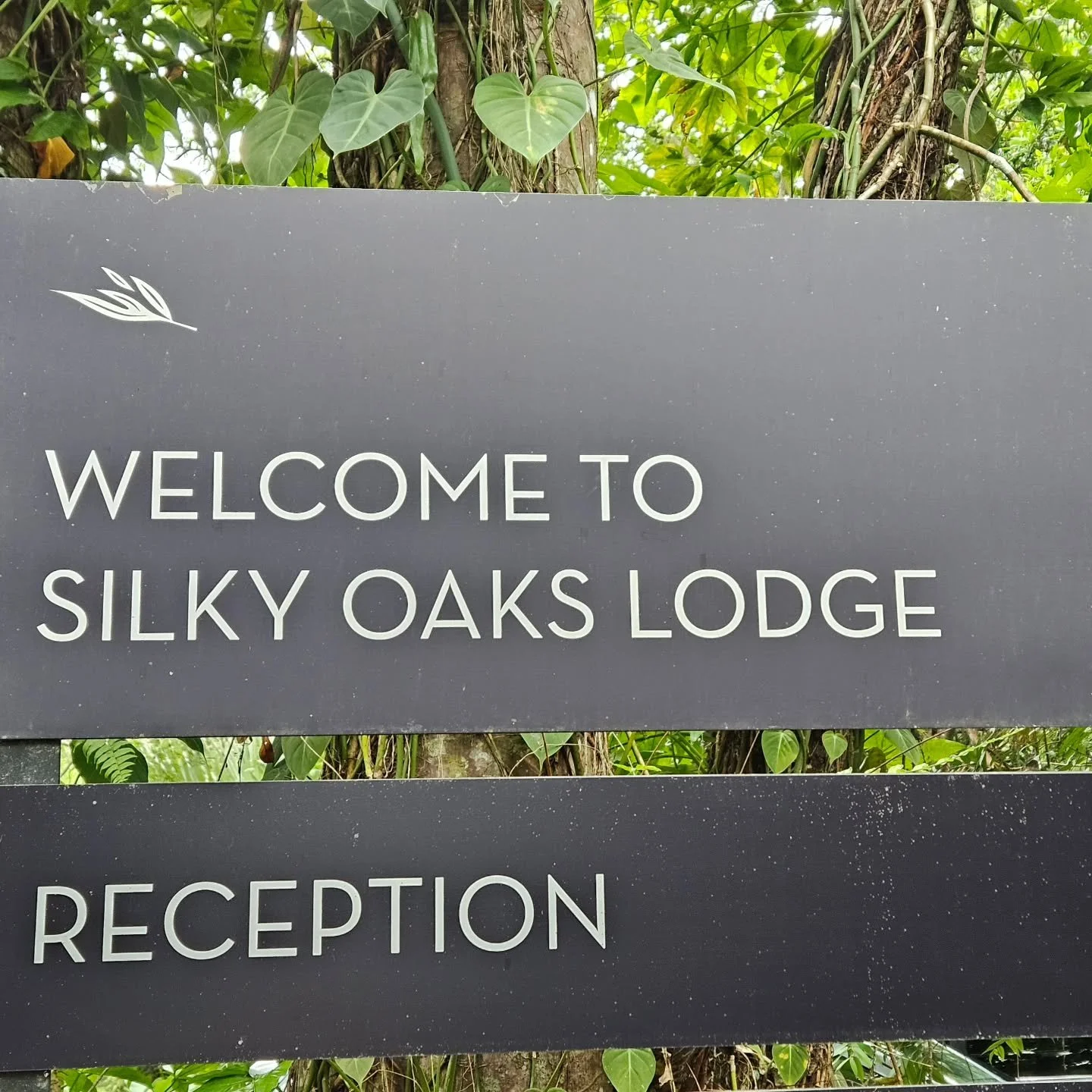 We are here and its not long now before the good times, learnings and laughter begins. #retreatready #soulfulliving #knowthyself #silkyoakslodge