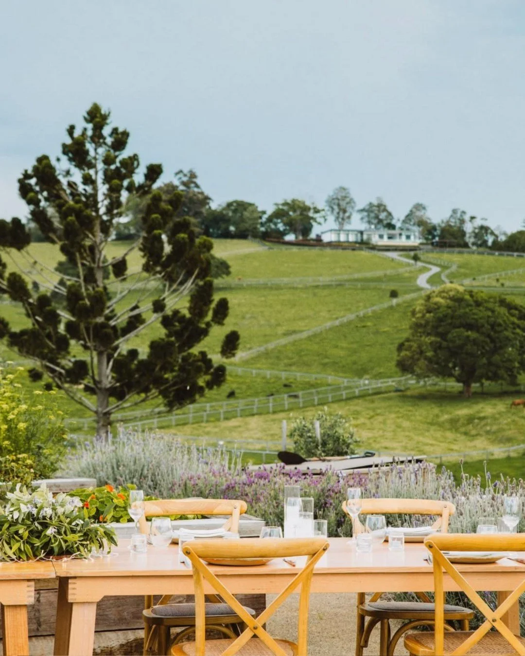 This May, I&rsquo;m inviting you to step away from the noise and into something truly nourishing. ✨🌿

Our upcoming retreat is being held at the breathtaking Beechmont Estate, nestled in the Gold Coast Hinterland; a luxury sanctuary designed for rest