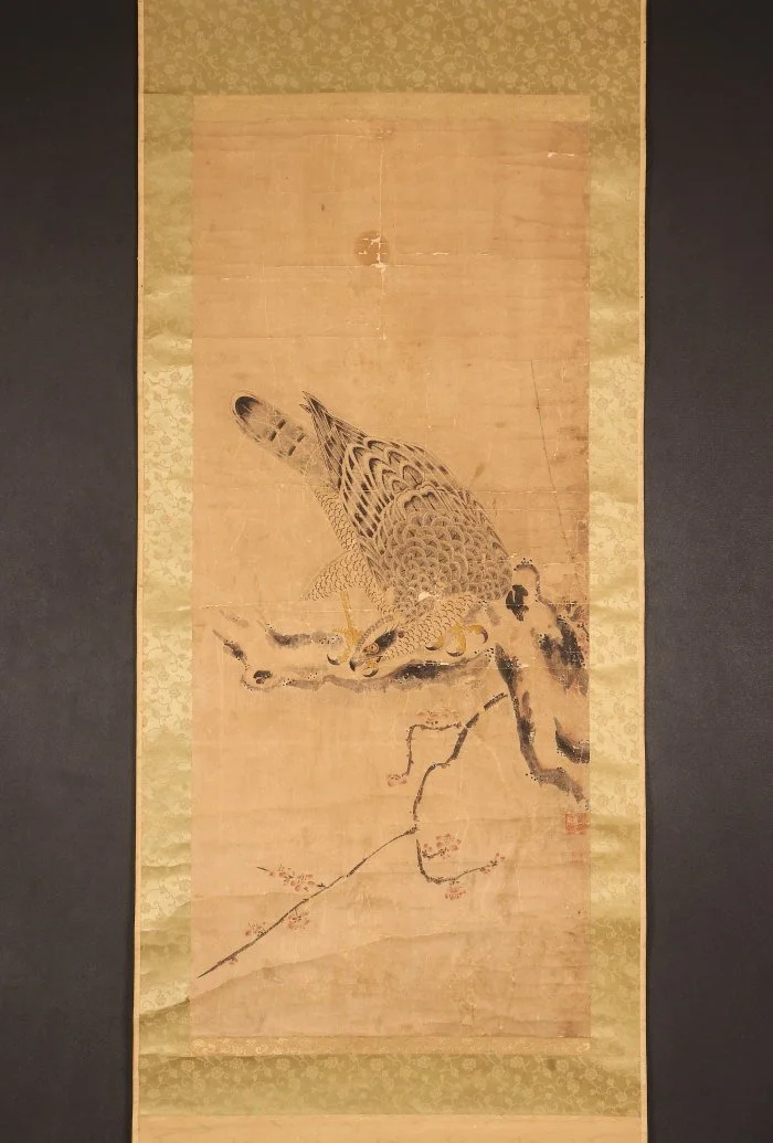 Anonymous (Edo period) ● Hawk in a Plum Tree, Biting Its Talon.
