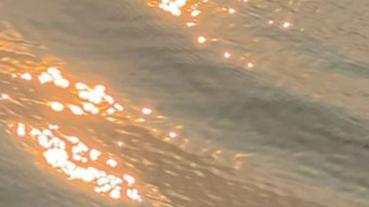 Vagal Tone &amp; the Medicine of Sound Healing