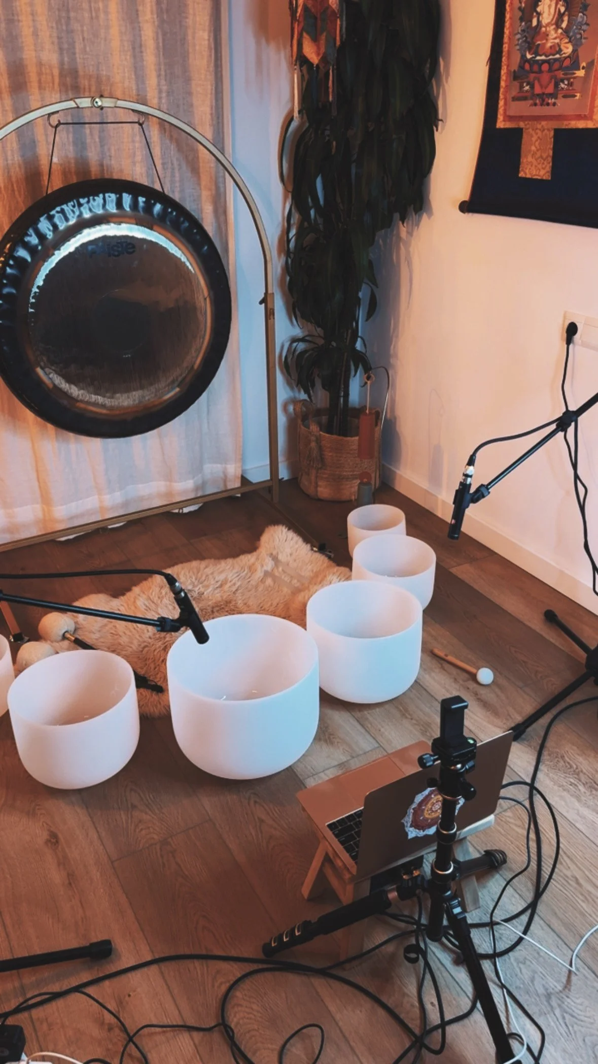 A sound therapy session setup with crystal singing bowls arranged on a wooden floor, a fluffy rug, and recording equipment including microphones, a laptop, and a stand. A large gong is on a stand, and there's a tall green plant and decorative wall hanging in the background.