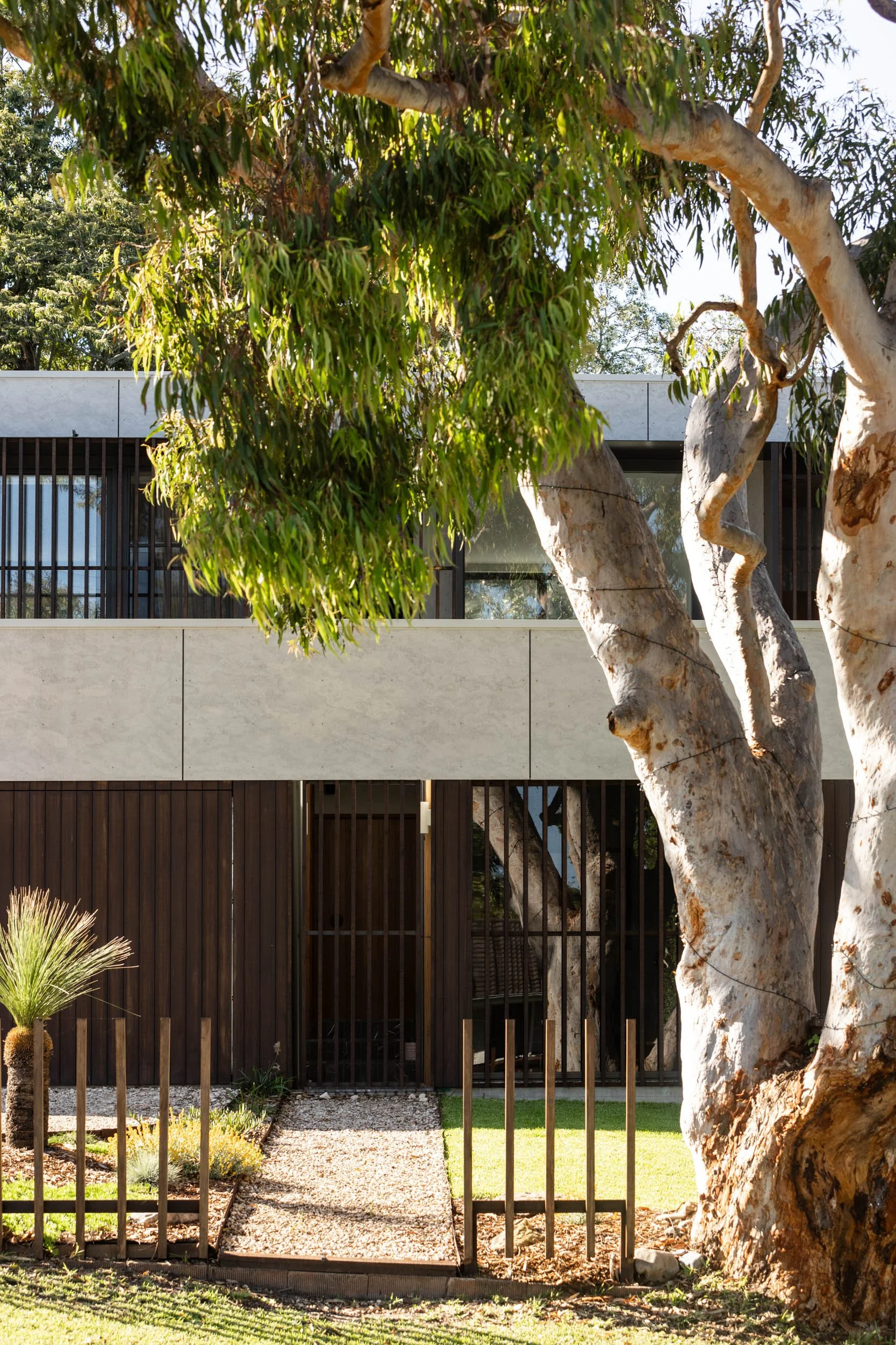 Modern house with large window and trees in front, wooden and white exterior walls, a gravel pathway, and small plants and grass