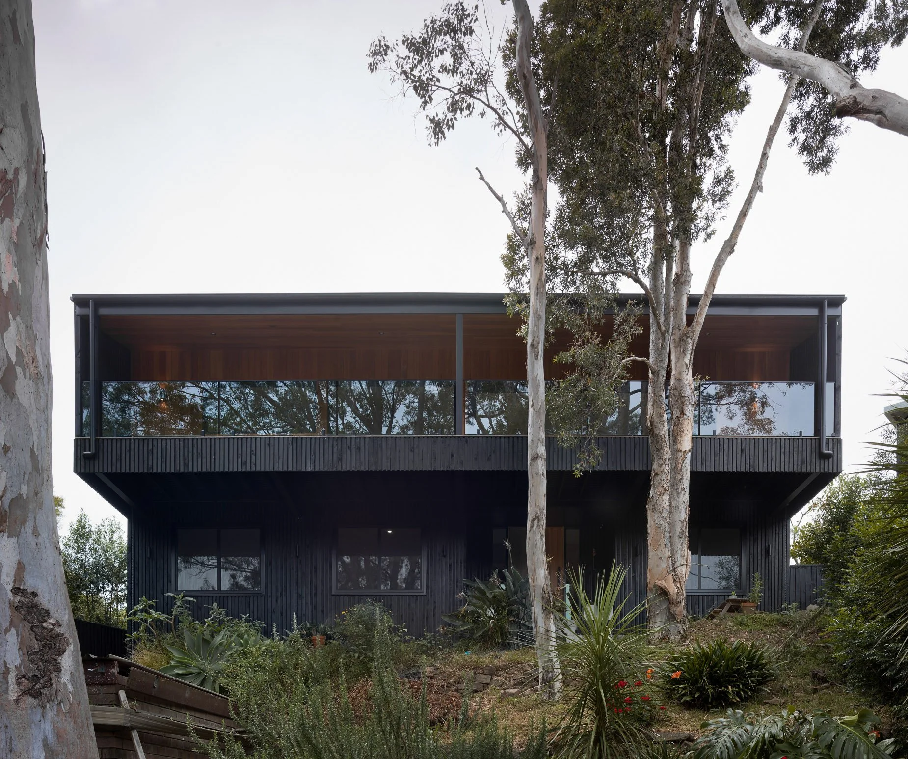 Modern two-story black house with large glass windows and wooden balcony, surrounded by trees and plants in a garden.
