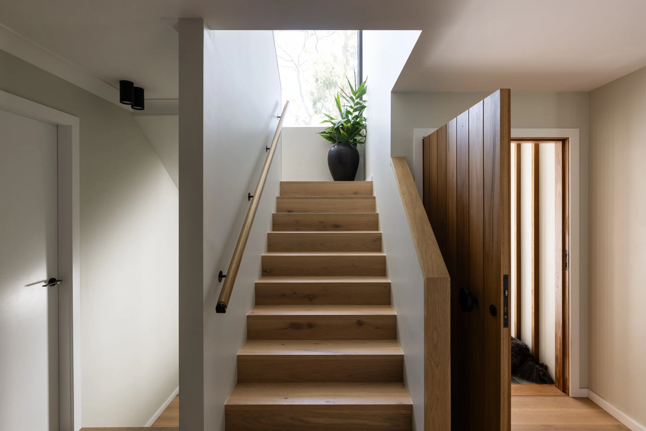Interior view of a staircase with wooden steps, a wooden rail on one side, and a large window at the top with a tall potted plant nearby. The area is well-lit with natural light.
