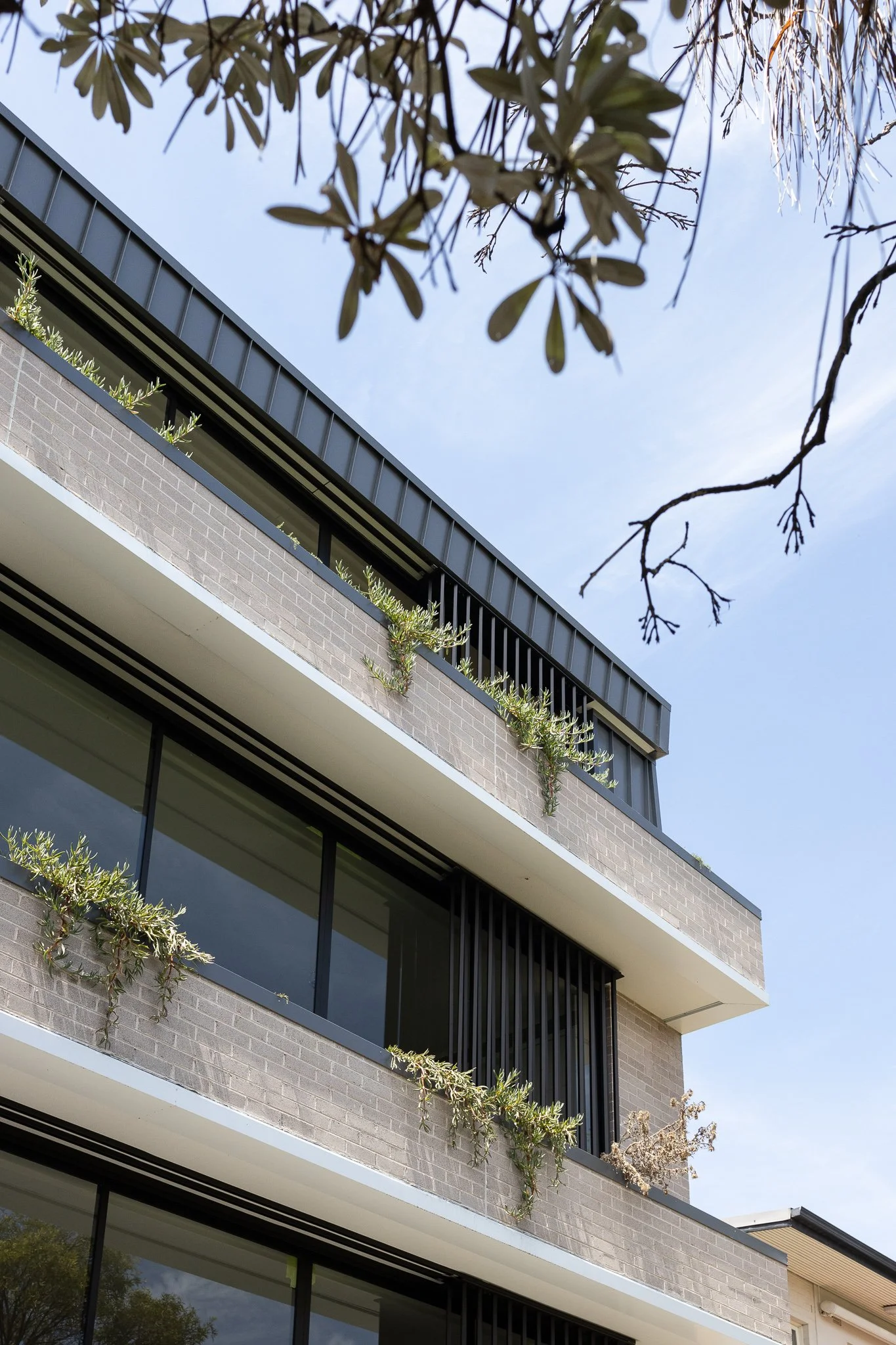 A multi-story modern residential building with brick exterior, large glass windows, and a secure balcony with black railing. The balcony has plants growing over its edge, and there are leafy trees visible in the reflection of the windows. The sky is clear with a few clouds.