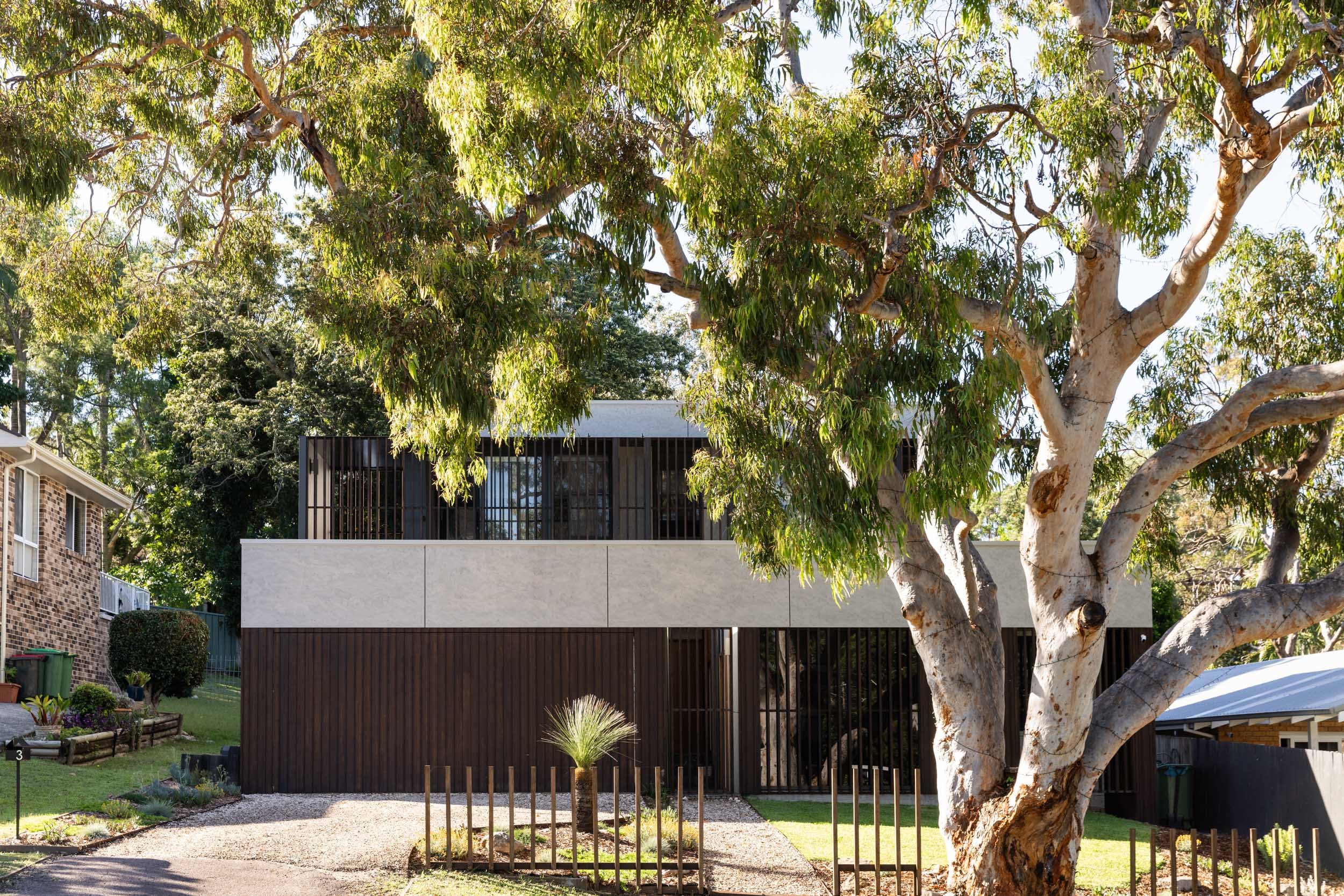 A large tree with a thick, white trunk and many green leaves stands in front of modern multi-story residential buildings with brick and dark panel exteriors. There is a small, fenced garden area with grass and a gravel pathway underneath the tree.
