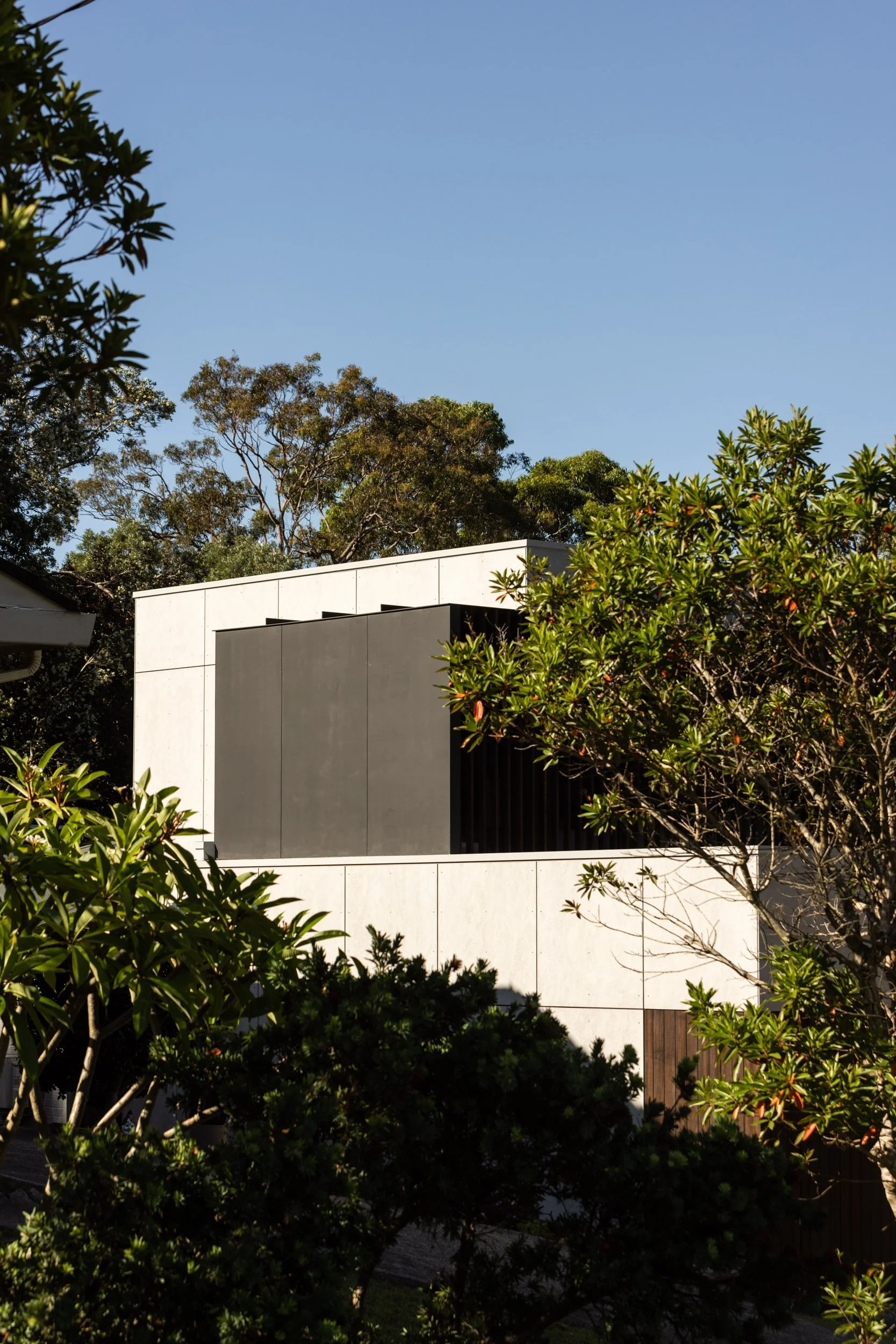 Modern house with white and gray exterior walls, surrounded by lush green trees and foliage, under a clear blue sky.