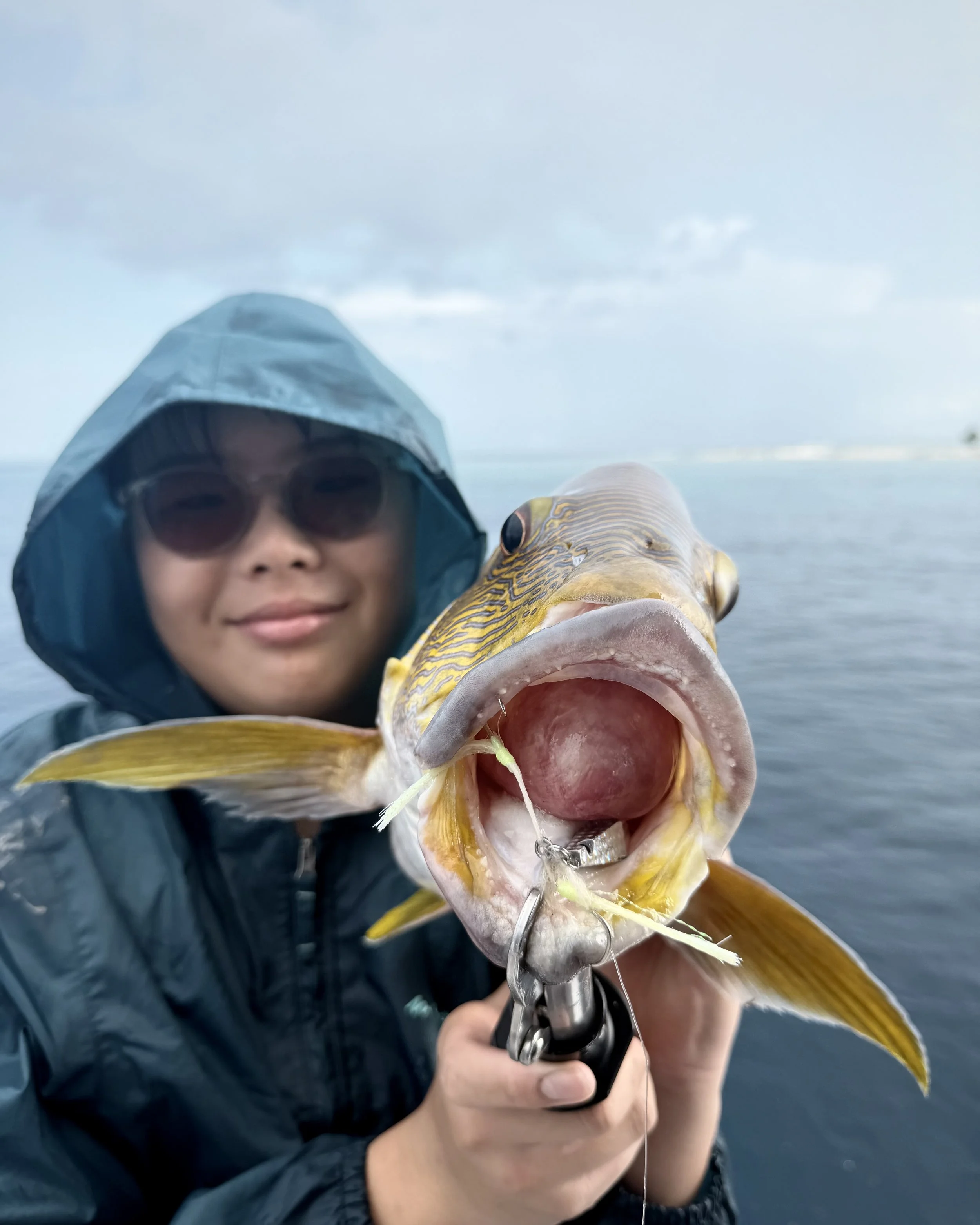 catch_8.jpg
