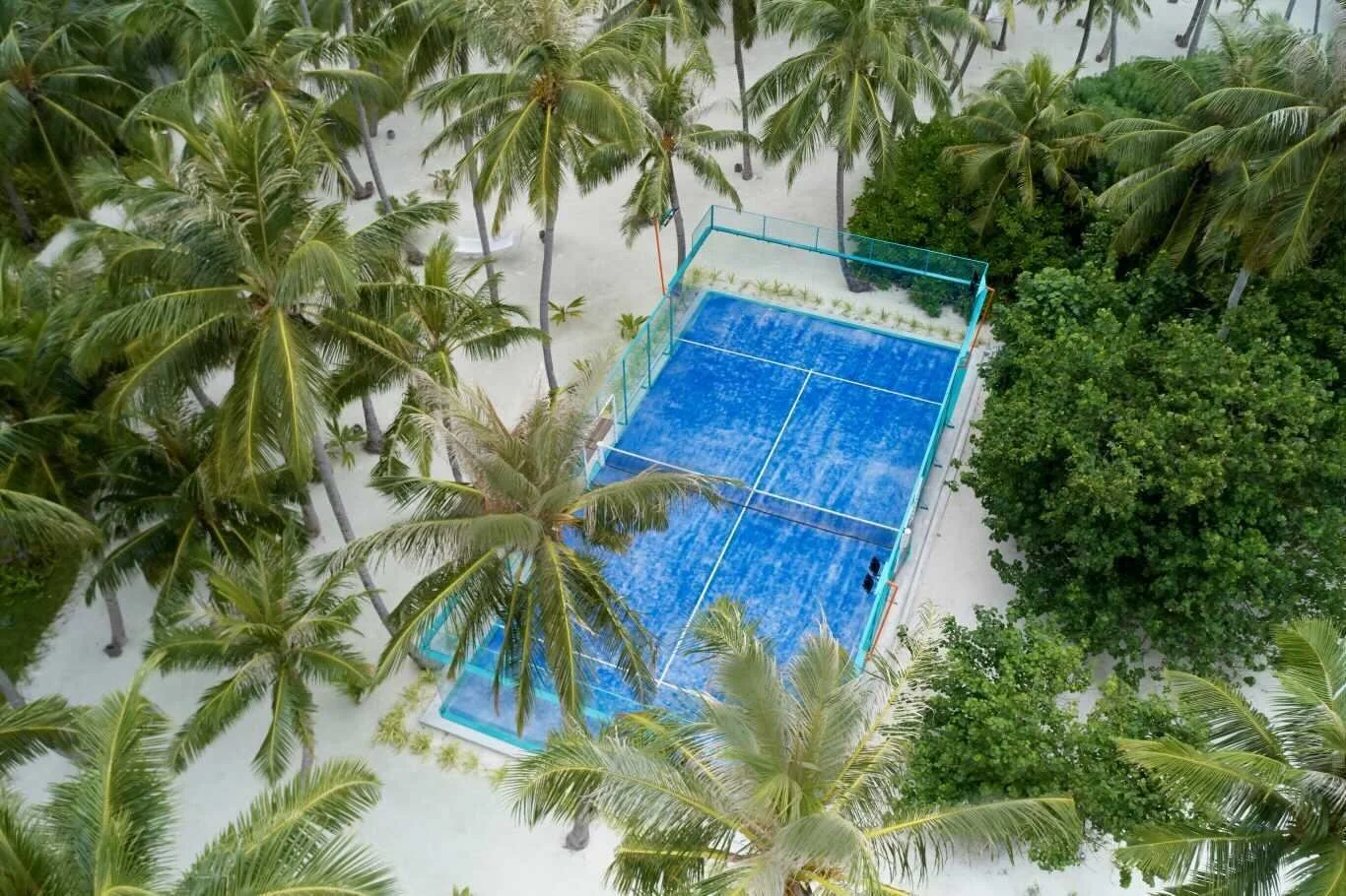 An aerial view of a tennis court surrounded by palm trees and lush green foliage on a sandy beach.