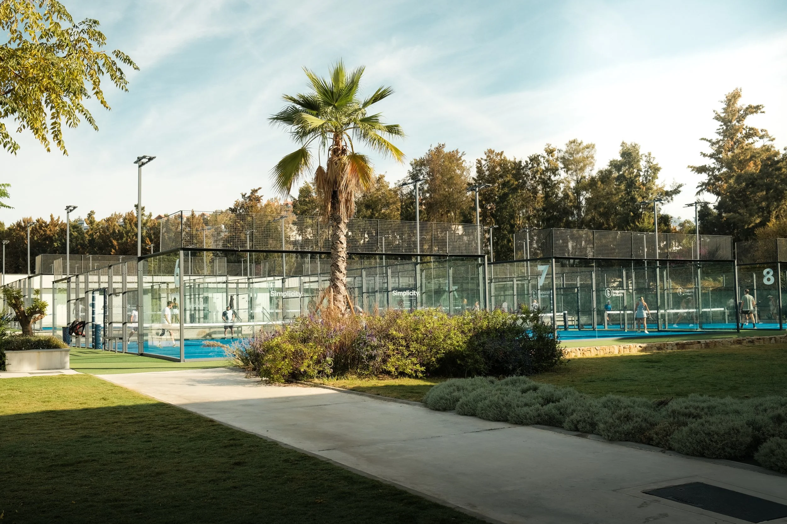 Tennis courts surrounded by trees and landscaping on a sunny day.