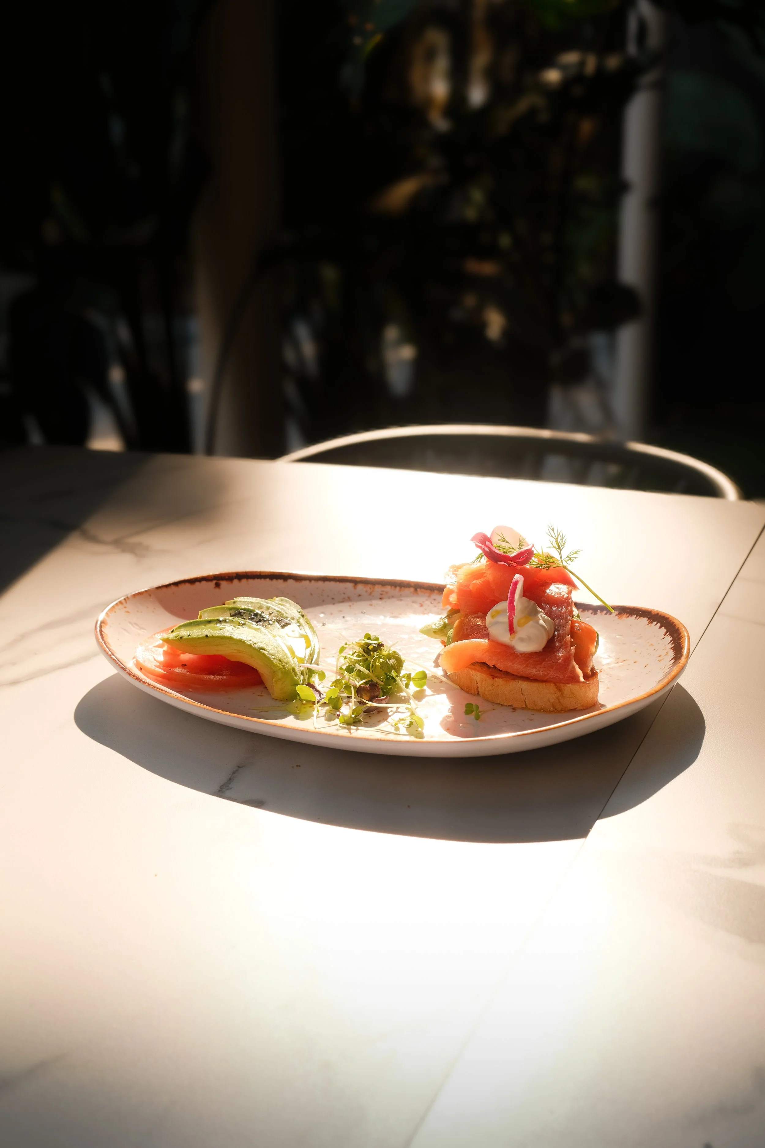 A plate of food with sliced avocado, microgreens, and a smoked salmon appetizer topped with dill and radish slices, on a white table with sunlight shining on it.