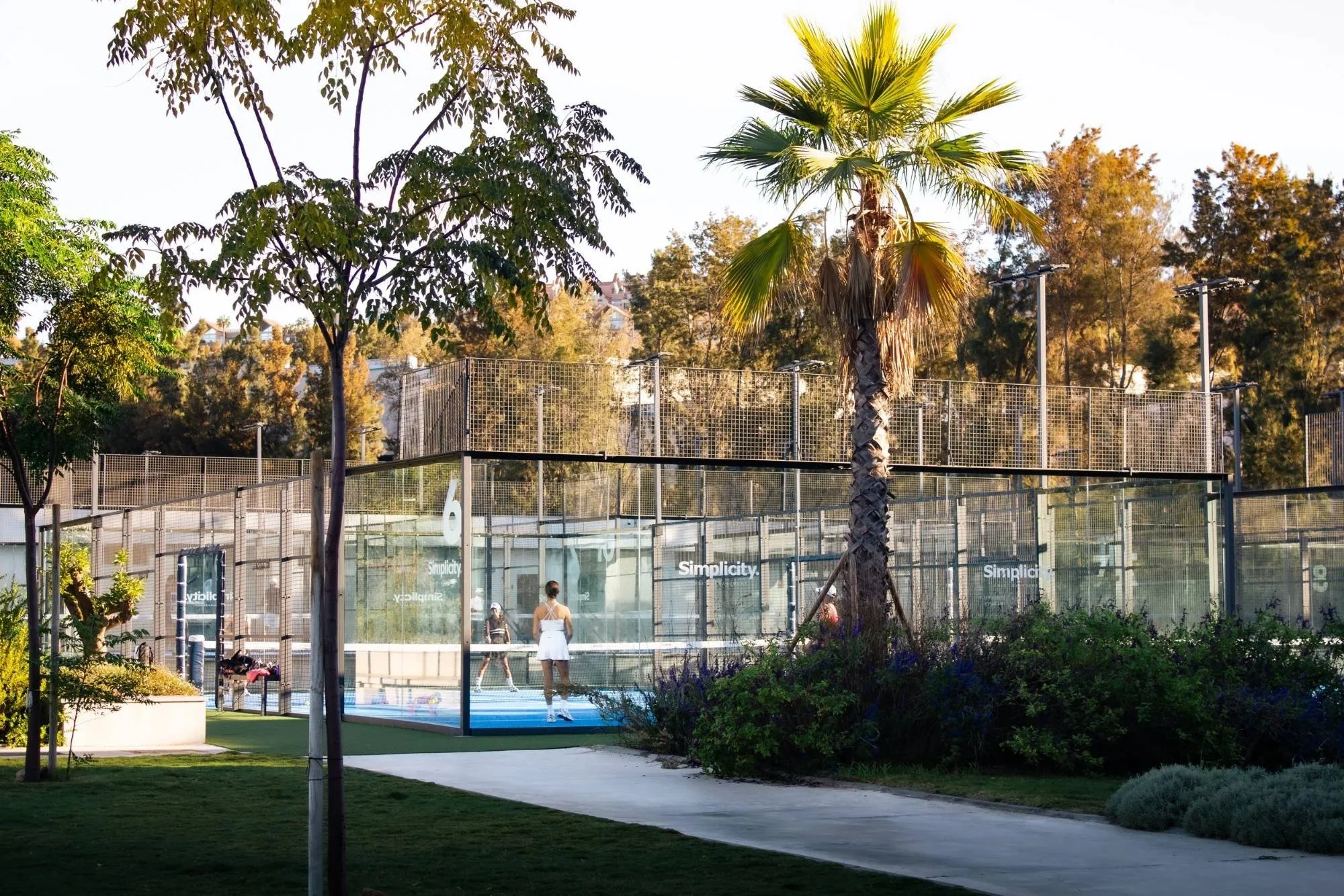 hero-fallback-beyond-padel.jpg