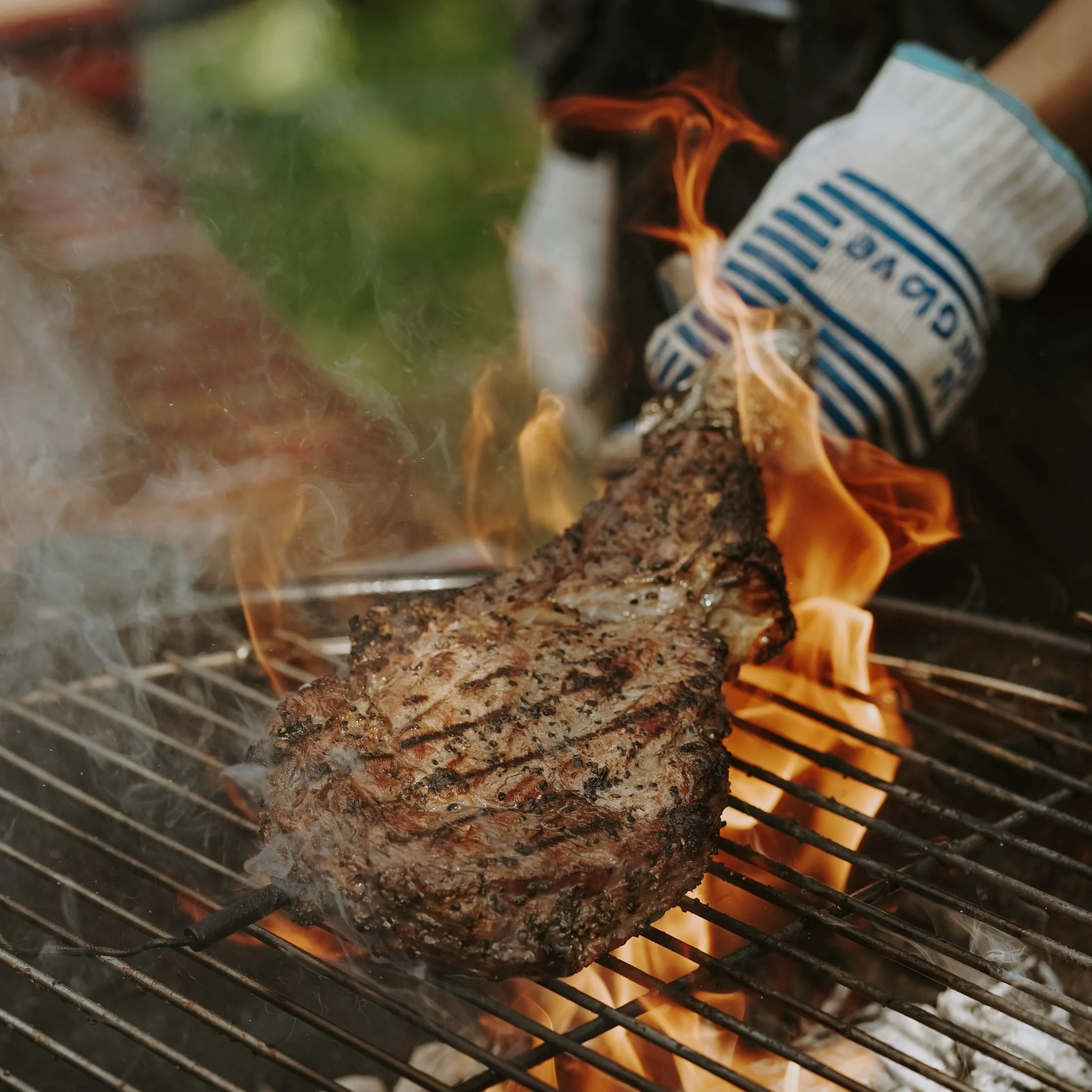 Grilling a large seasoned steak over an open flame on a barbecue grill, with a person wearing a oven mitt.