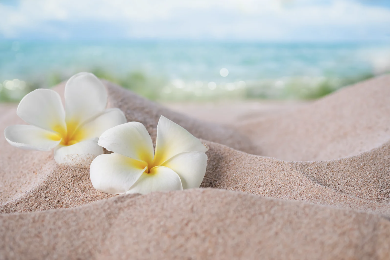 Screenshot 2026-01-17 at 2.12.50 PM.png