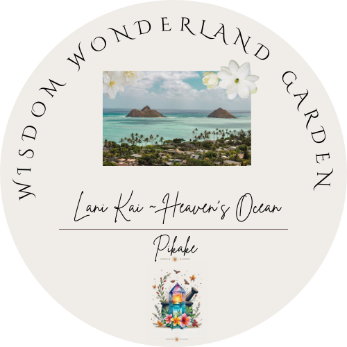 Wisdom Wonderland-6.png