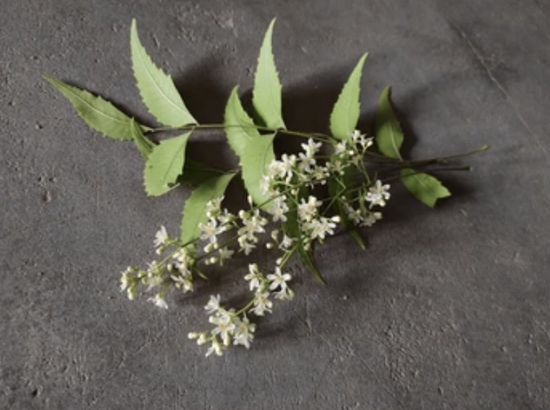 Screenshot 2026-01-18 at 12.28.39 PM.png