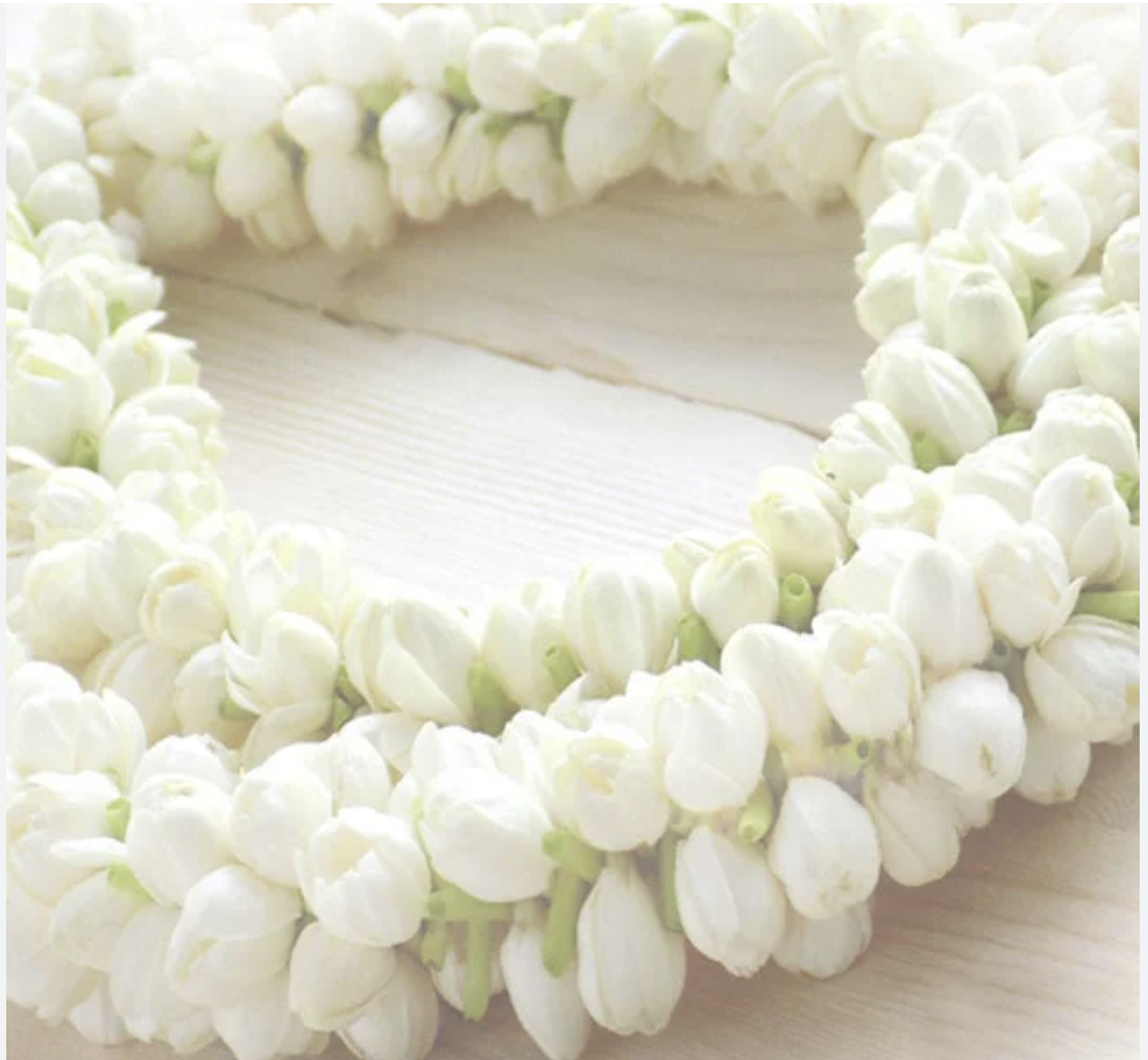 Screenshot 2026-01-17 at 1.54.42 PM.png