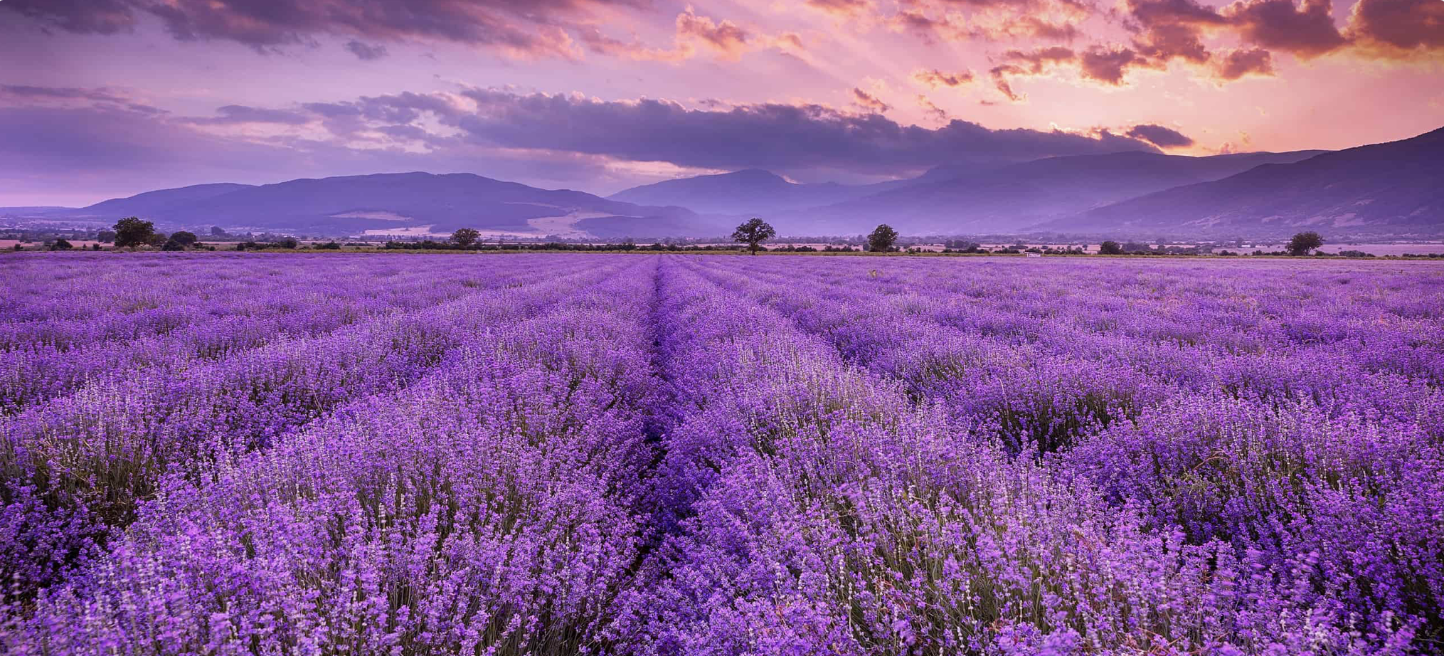 Screenshot 2026-01-18 at 7.45.10 AM.png