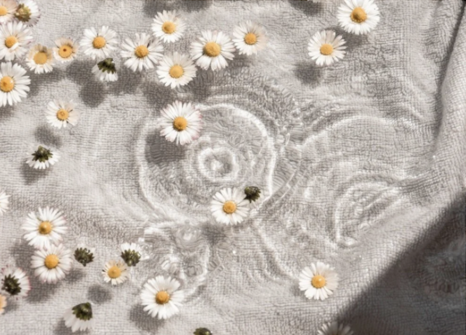 Screenshot 2026-01-18 at 11.01.05 AM.png